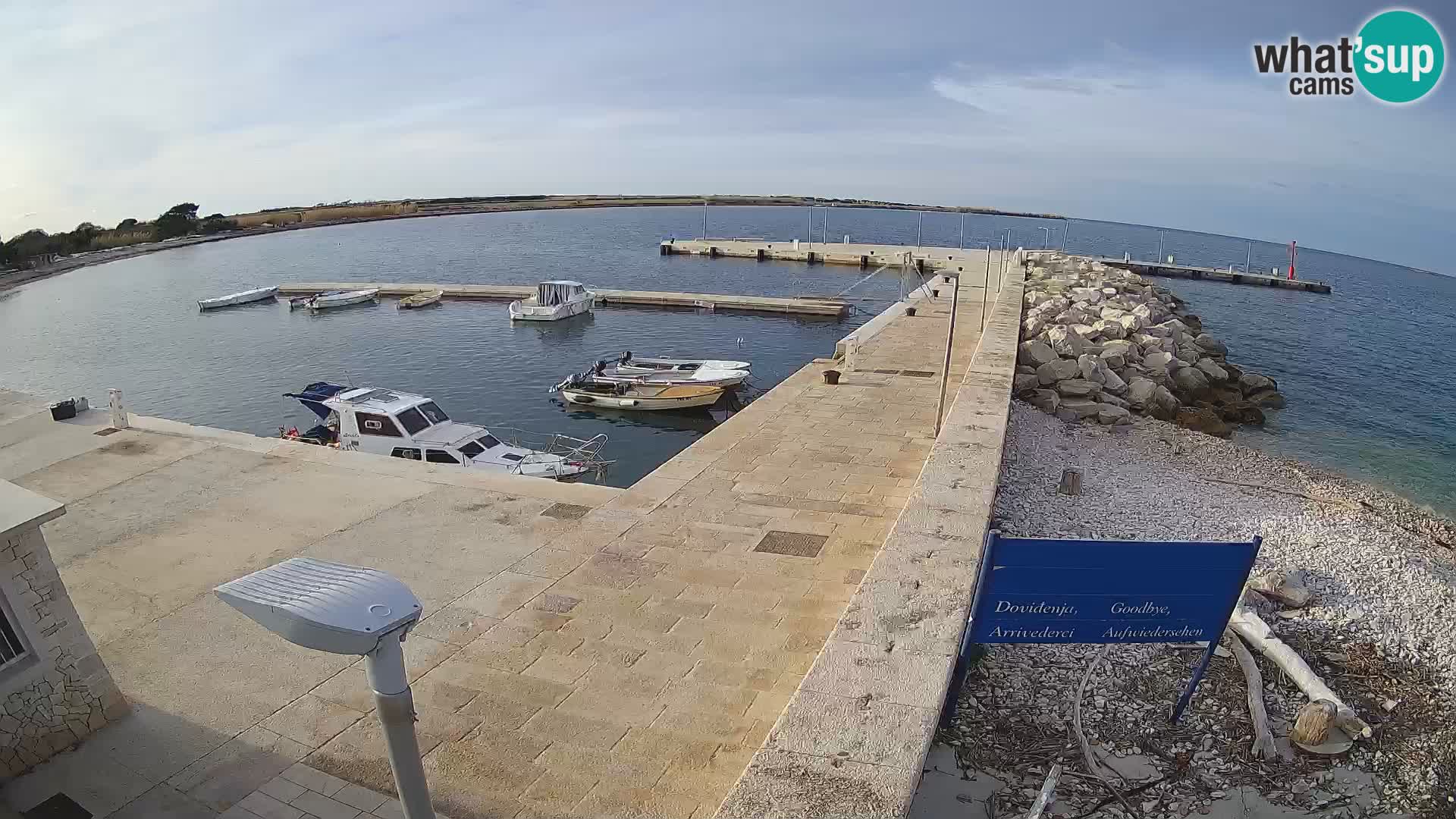 Cámara web de la isla de Unije: explore la belleza de la joya escondida de Croacia