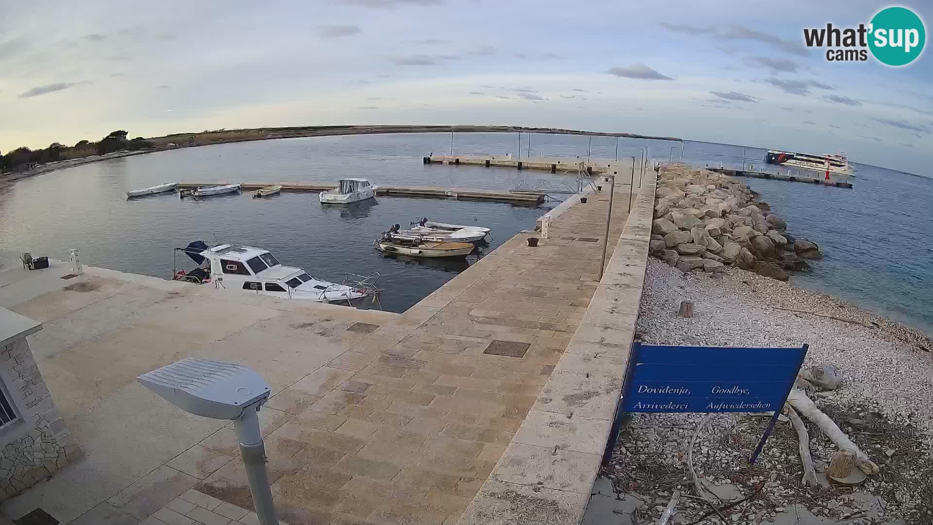 Cámara web de la isla de Unije: explore la belleza de la joya escondida de Croacia