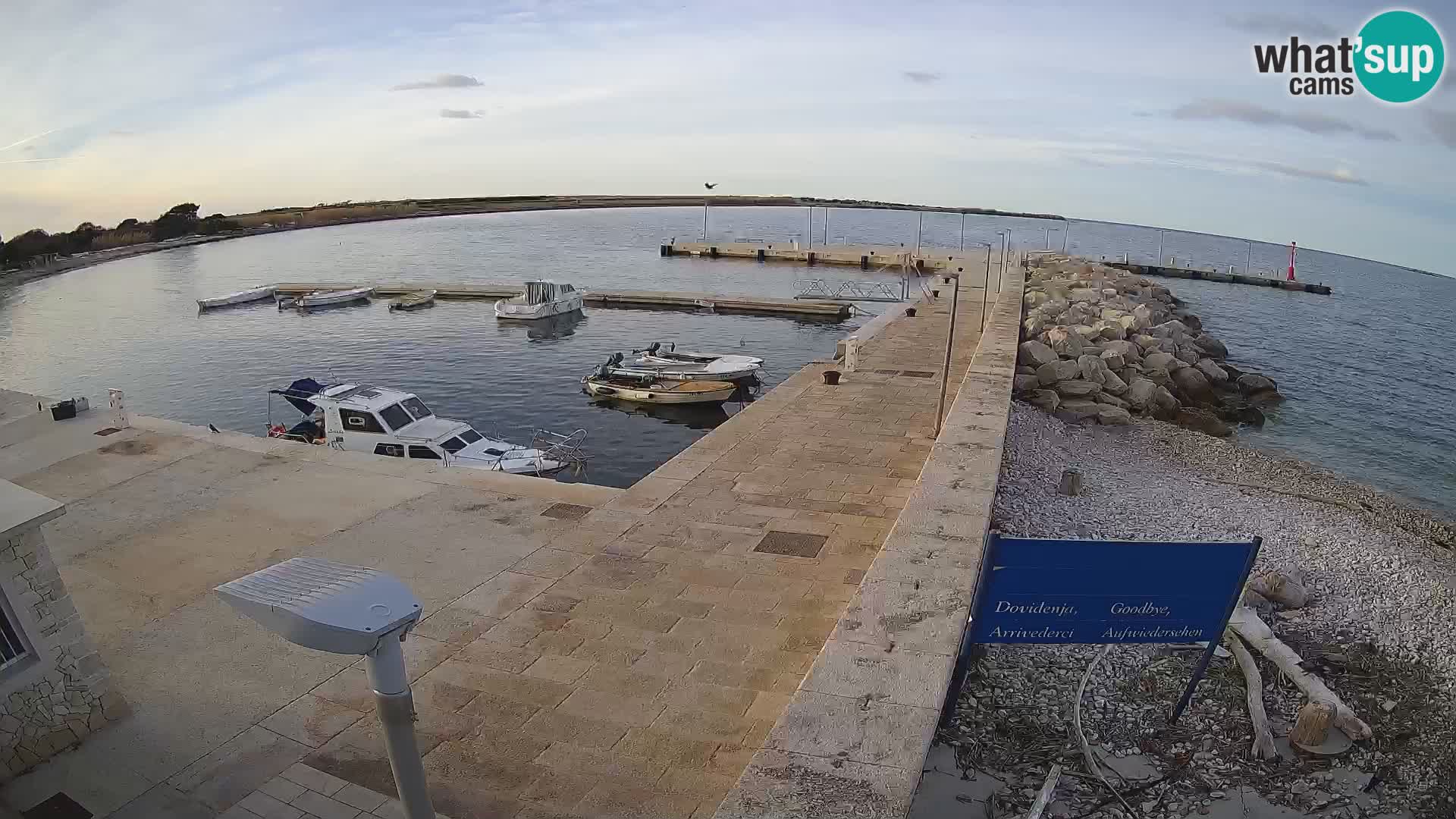 Webcam Isola di Unije – Esplora la bellezza della gemma nascosta della Croazia