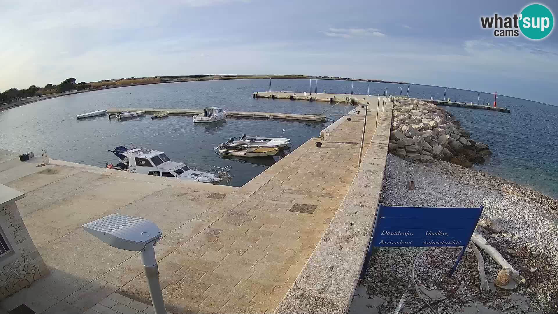 Cámara web de la isla de Unije: explore la belleza de la joya escondida de Croacia