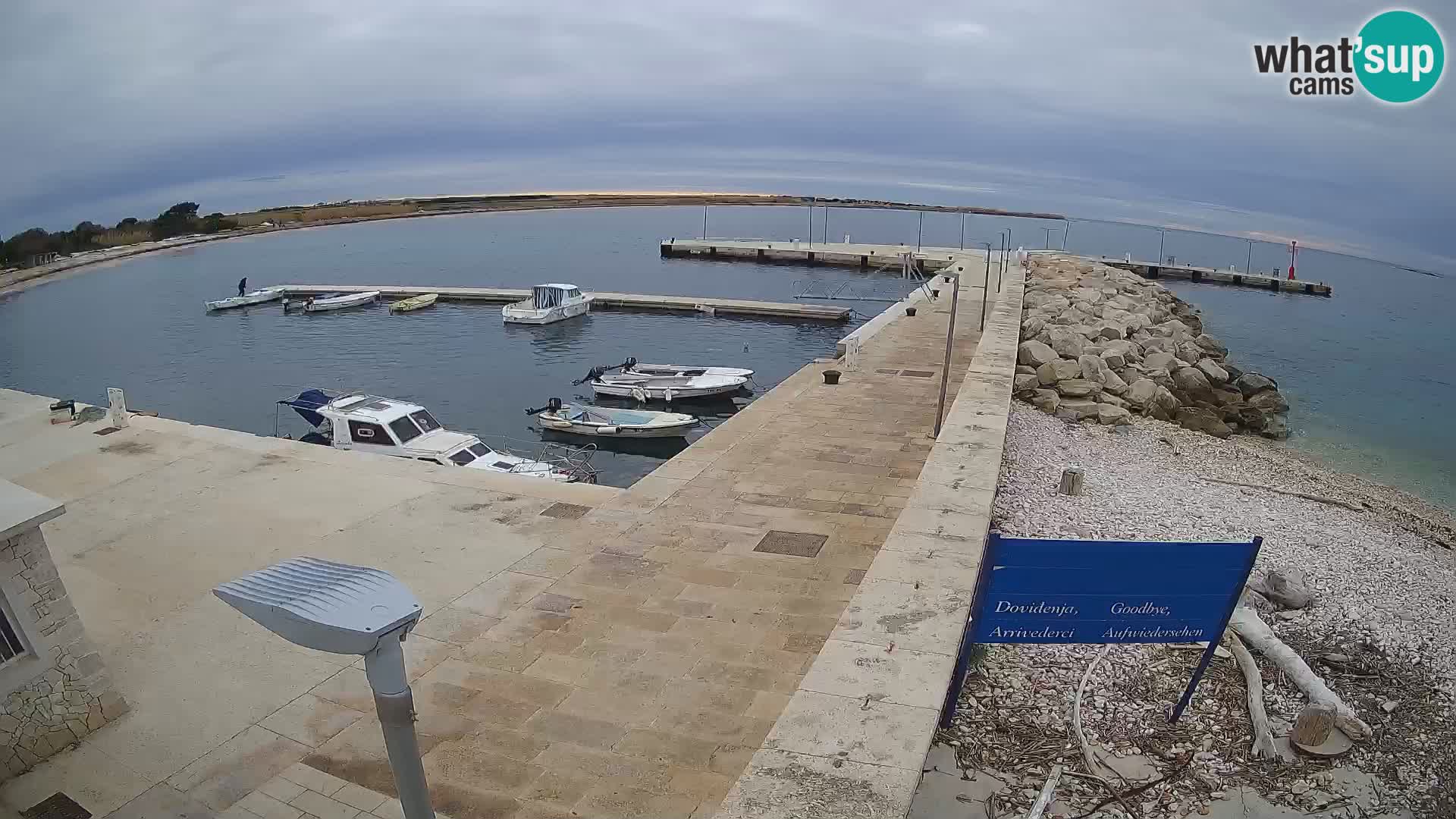 Webcam Isola di Unije – Esplora la bellezza della gemma nascosta della Croazia