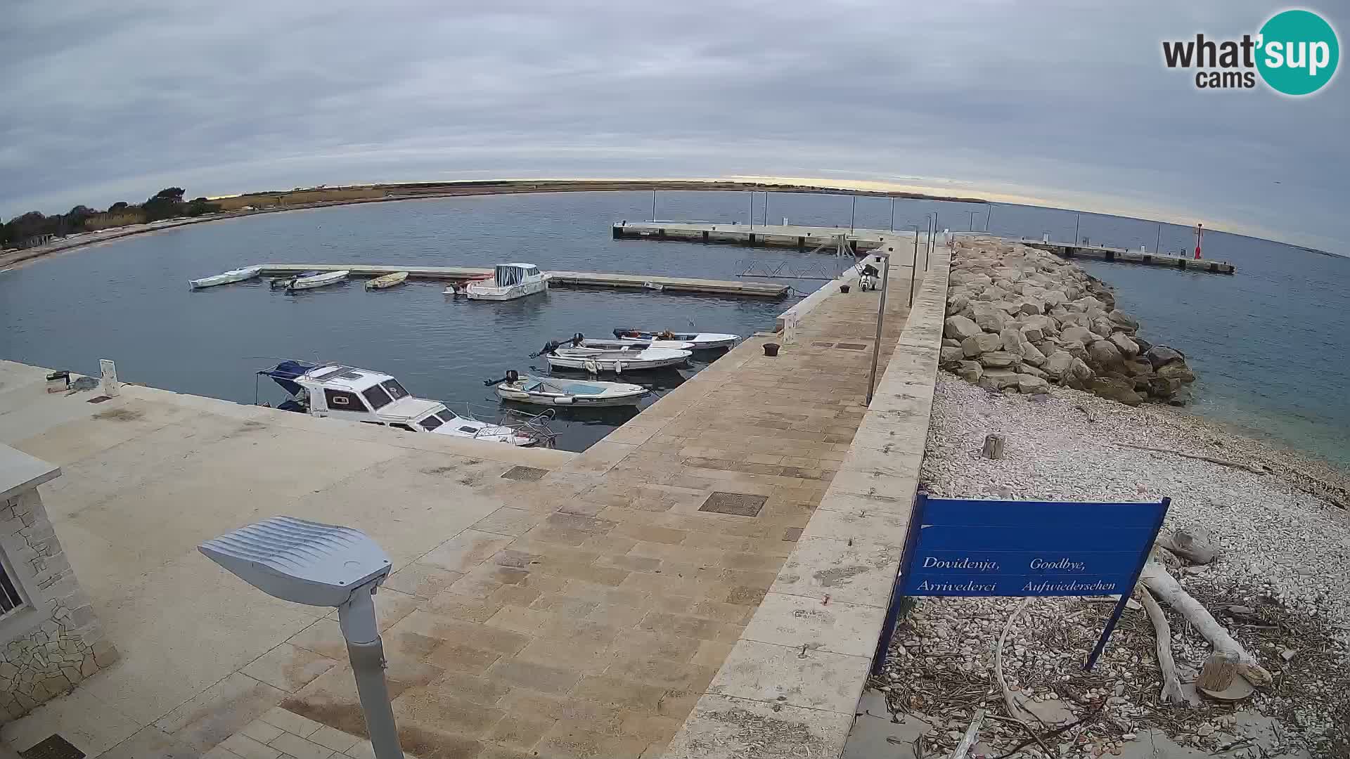 Cámara web de la isla de Unije: explore la belleza de la joya escondida de Croacia