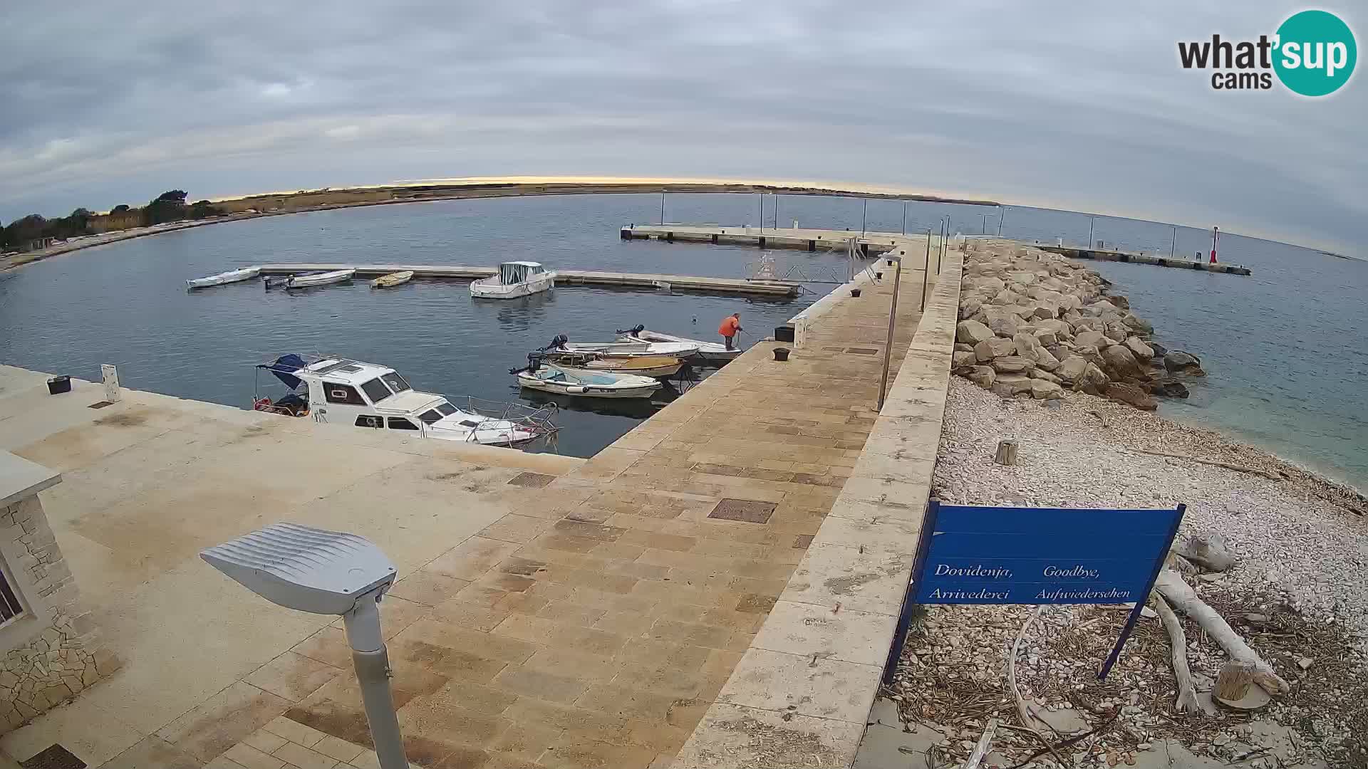 Cámara web de la isla de Unije: explore la belleza de la joya escondida de Croacia