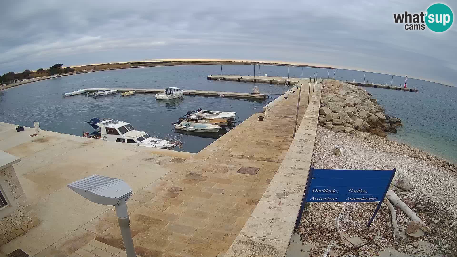 Cámara web de la isla de Unije: explore la belleza de la joya escondida de Croacia