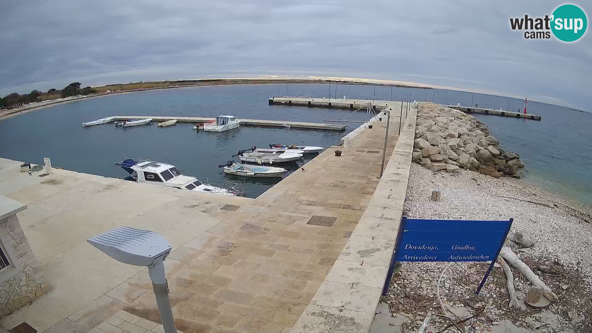 Cámara web de la isla de Unije: explore la belleza de la joya escondida de Croacia