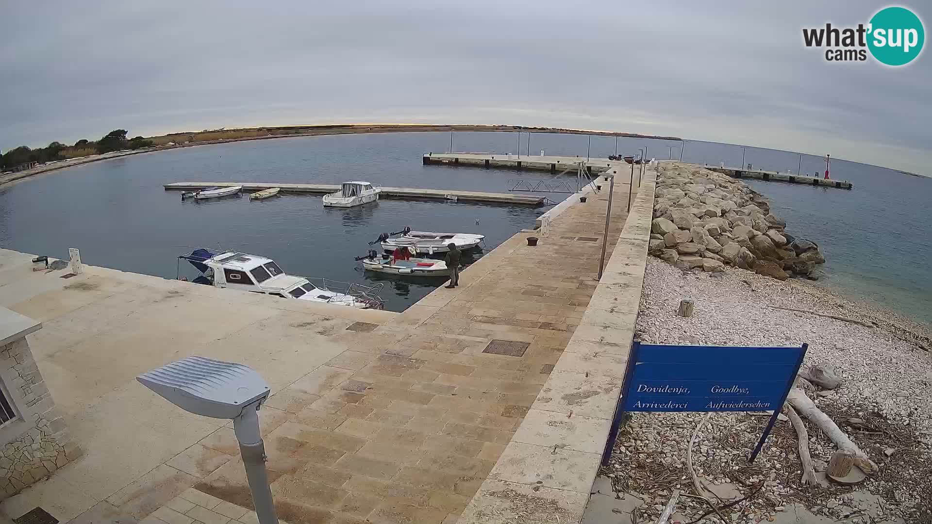 Cámara web de la isla de Unije: explore la belleza de la joya escondida de Croacia