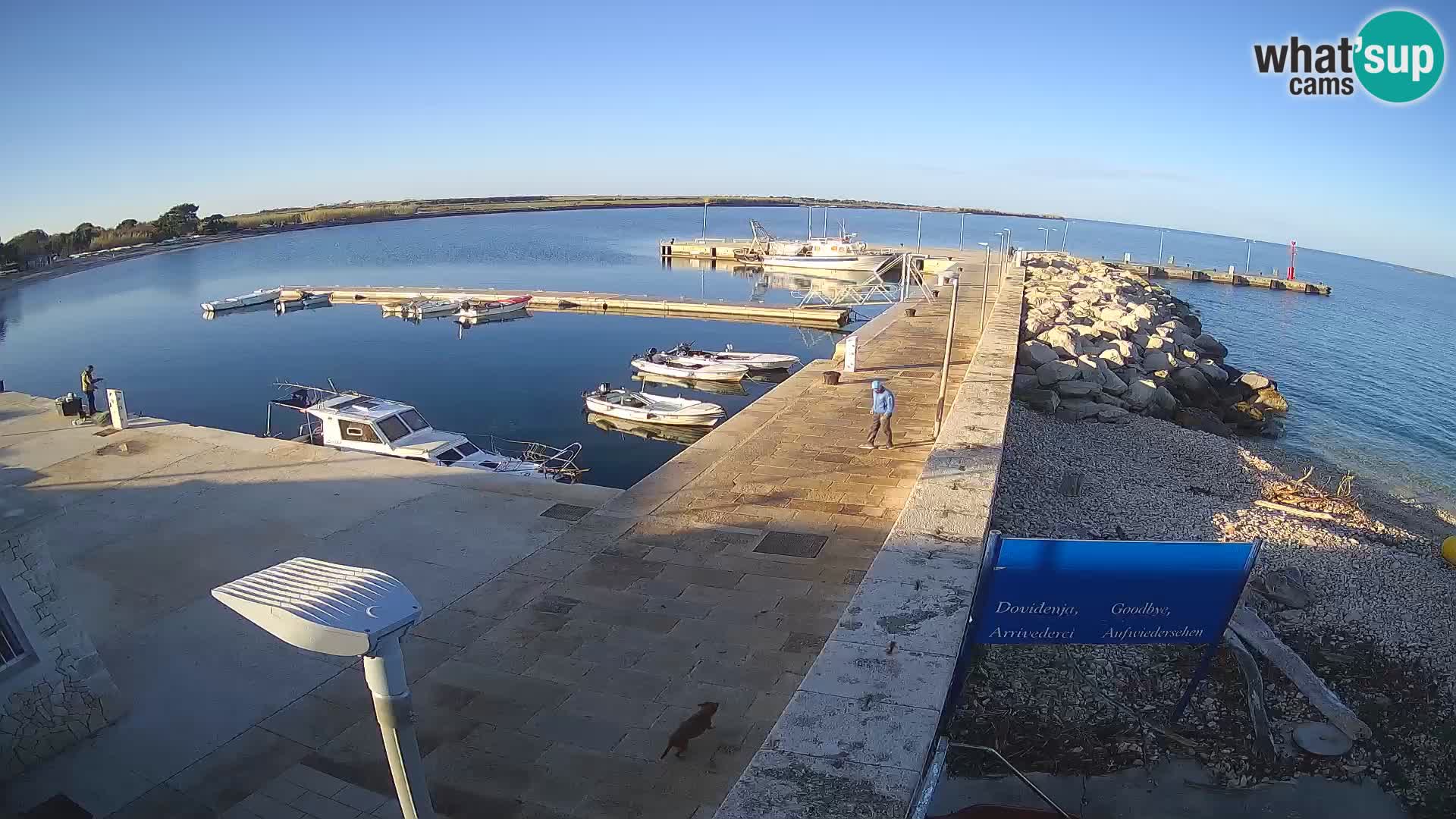 Unije Island Webcam – Explore the Beauty of Croatia’s Hidden Gem