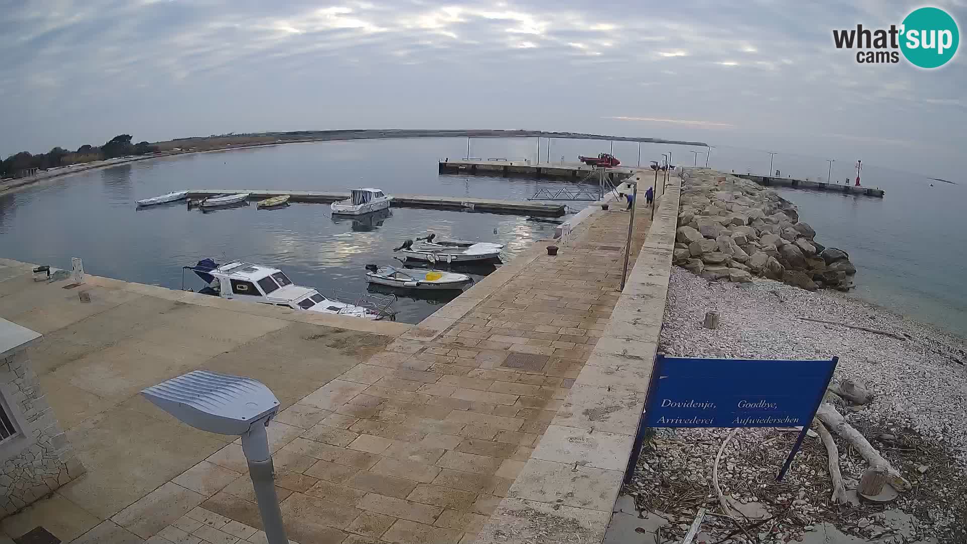 Cámara web de la isla de Unije: explore la belleza de la joya escondida de Croacia