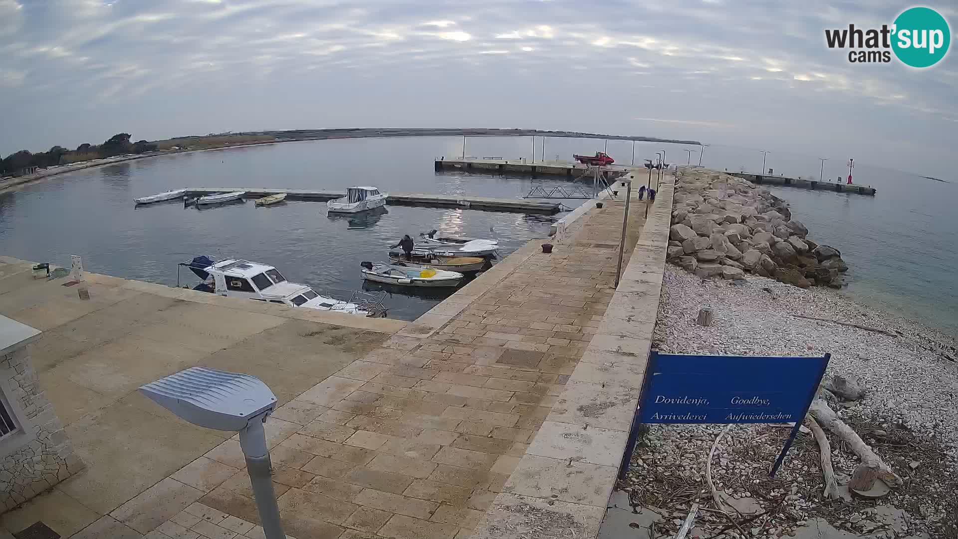 Webcam Isola di Unije – Esplora la bellezza della gemma nascosta della Croazia