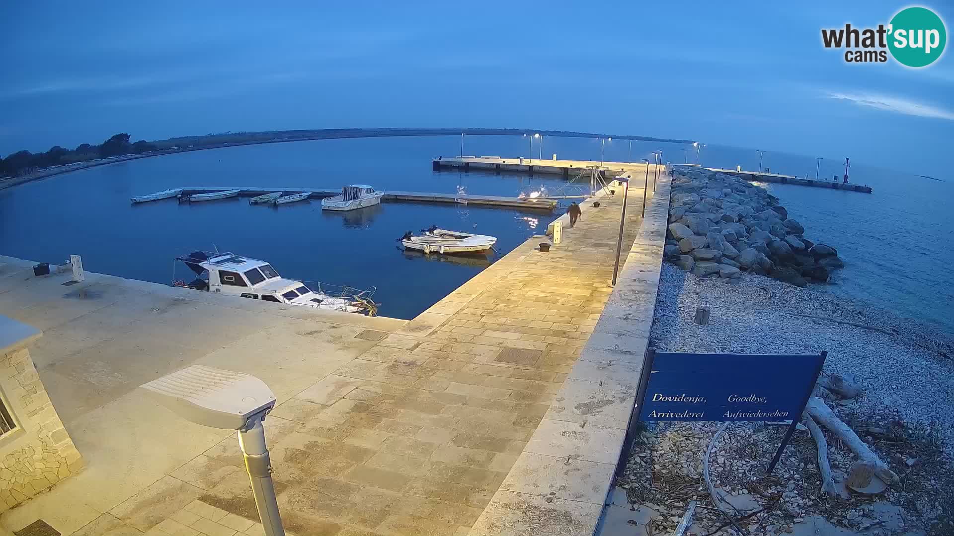 Spletna kamera otoka Unije – Raziščite lepoto skritega dragulja Hrvaške