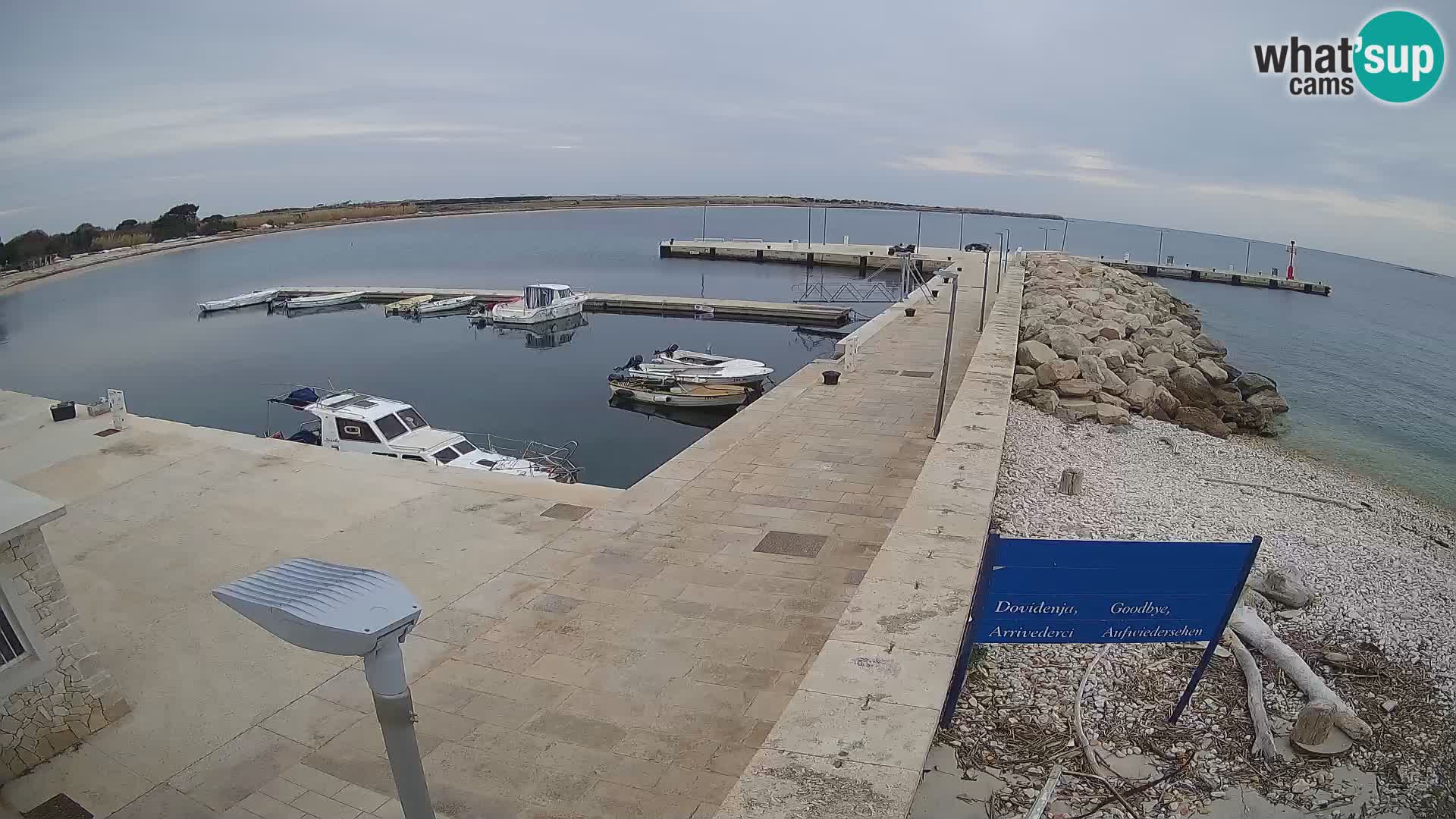 Cámara web de la isla de Unije: explore la belleza de la joya escondida de Croacia