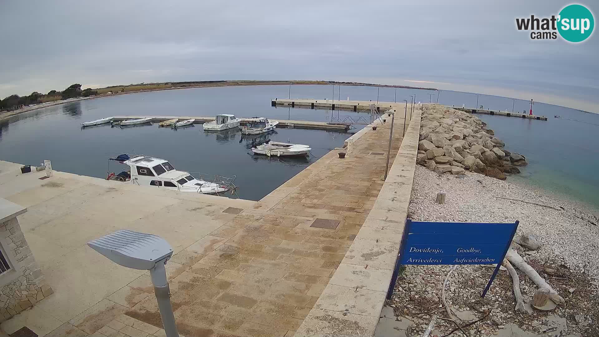 Cámara web de la isla de Unije: explore la belleza de la joya escondida de Croacia