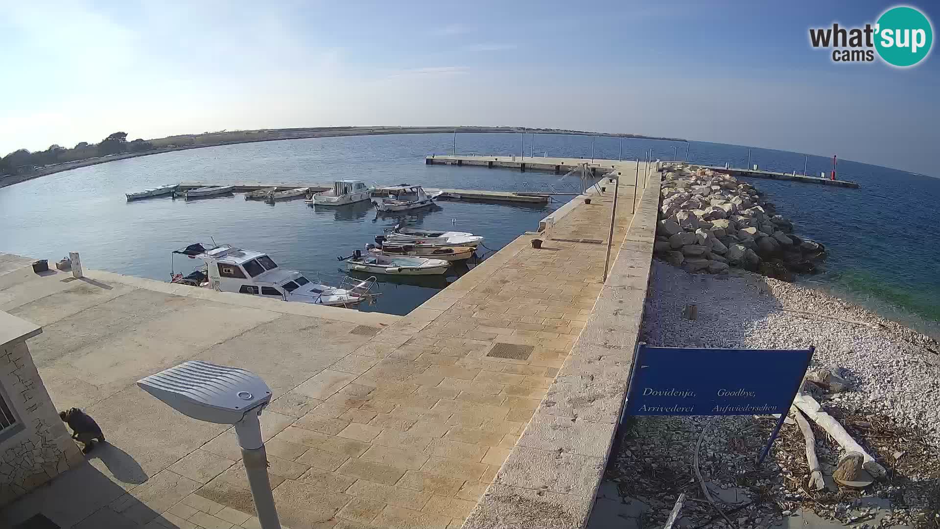 Unije Island Webcam – Explore the Beauty of Croatia’s Hidden Gem