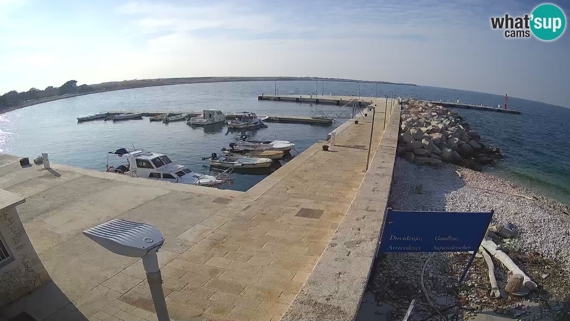 Cámara web de la isla de Unije: explore la belleza de la joya escondida de Croacia