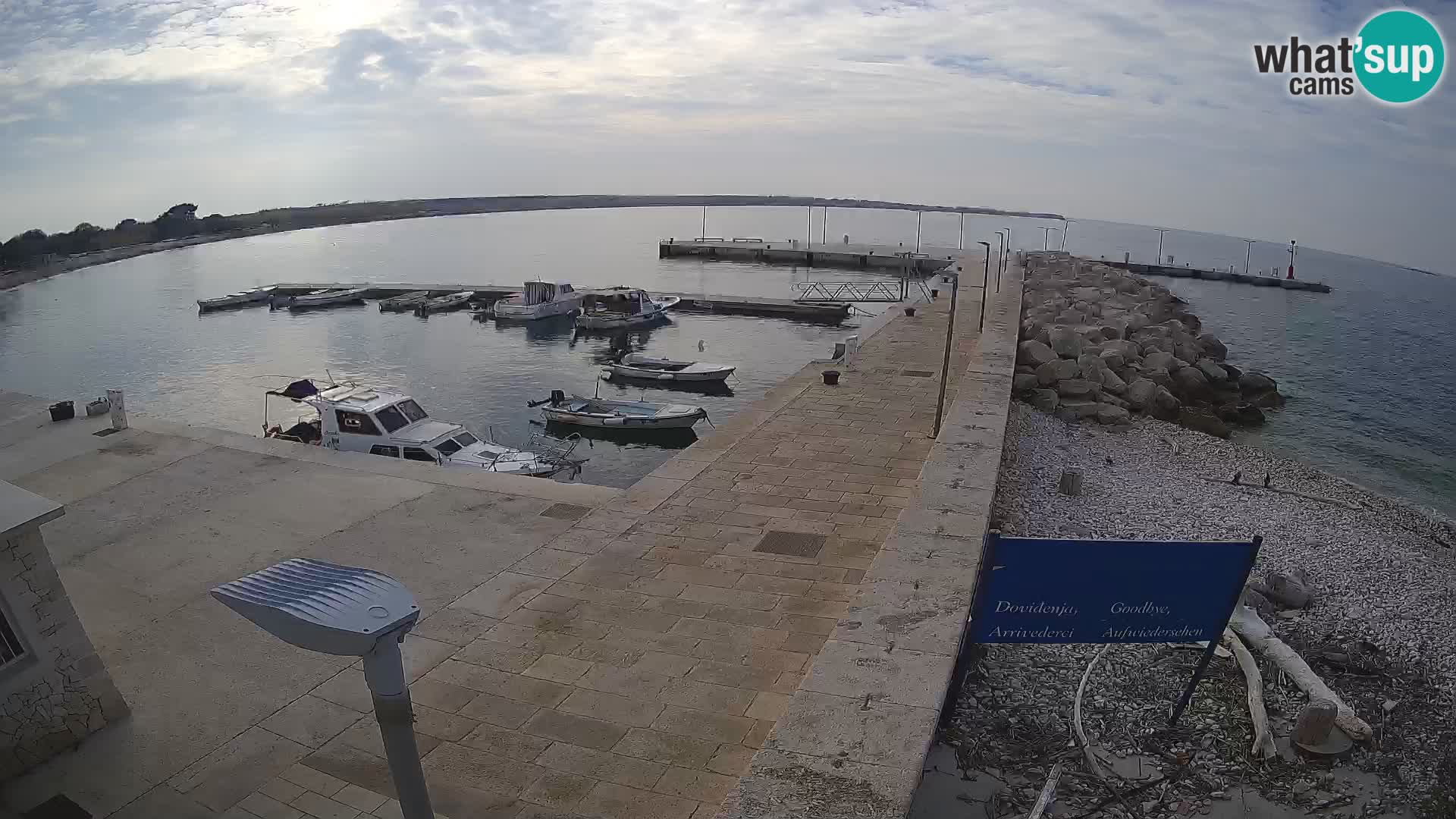 Cámara web de la isla de Unije: explore la belleza de la joya escondida de Croacia