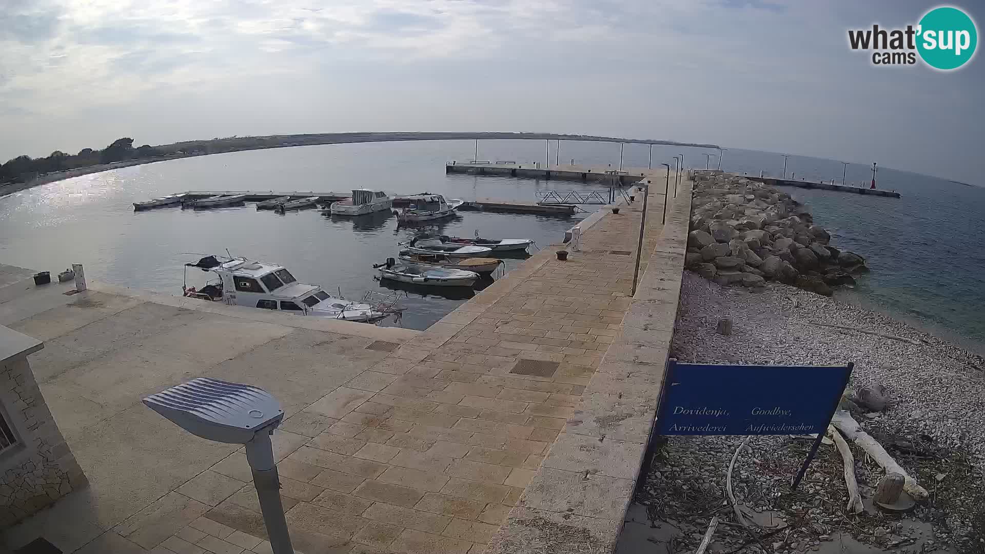 Cámara web de la isla de Unije: explore la belleza de la joya escondida de Croacia