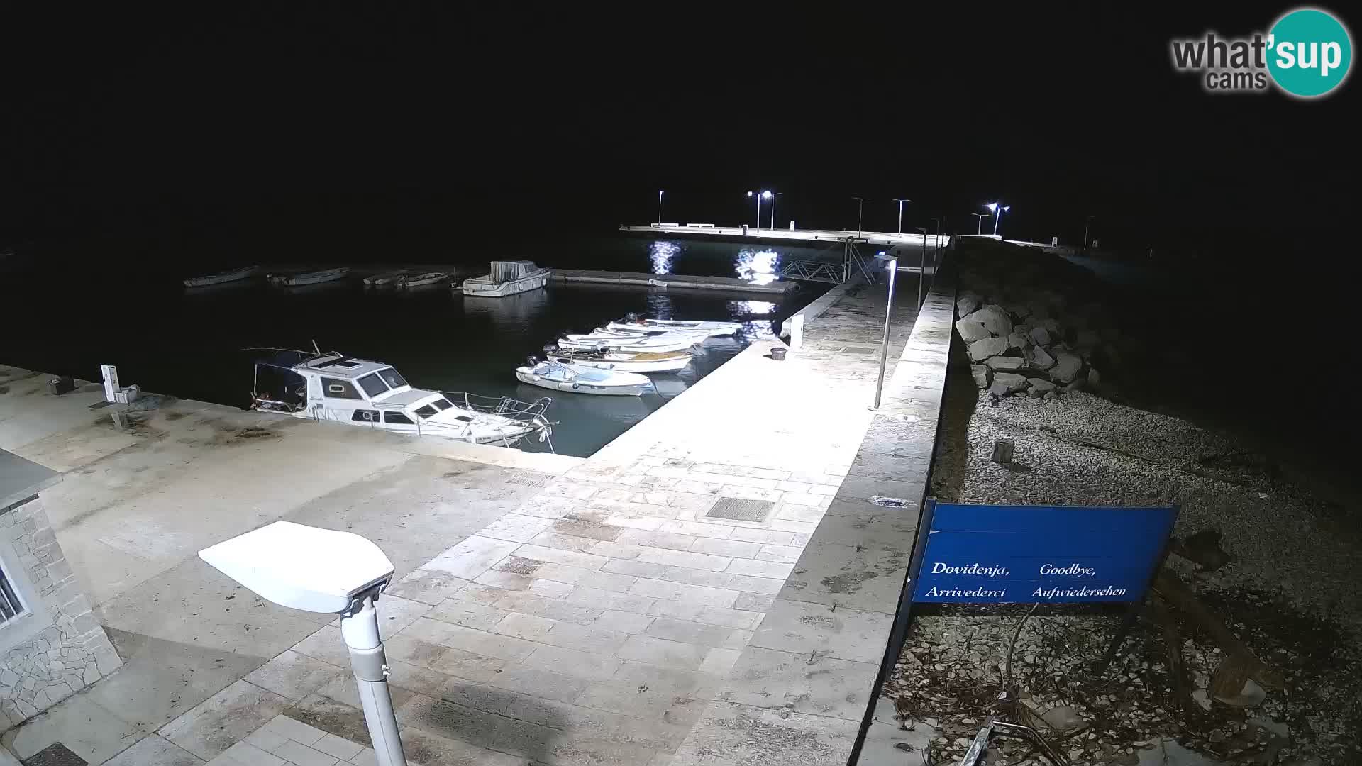 Cámara web de la isla de Unije: explore la belleza de la joya escondida de Croacia