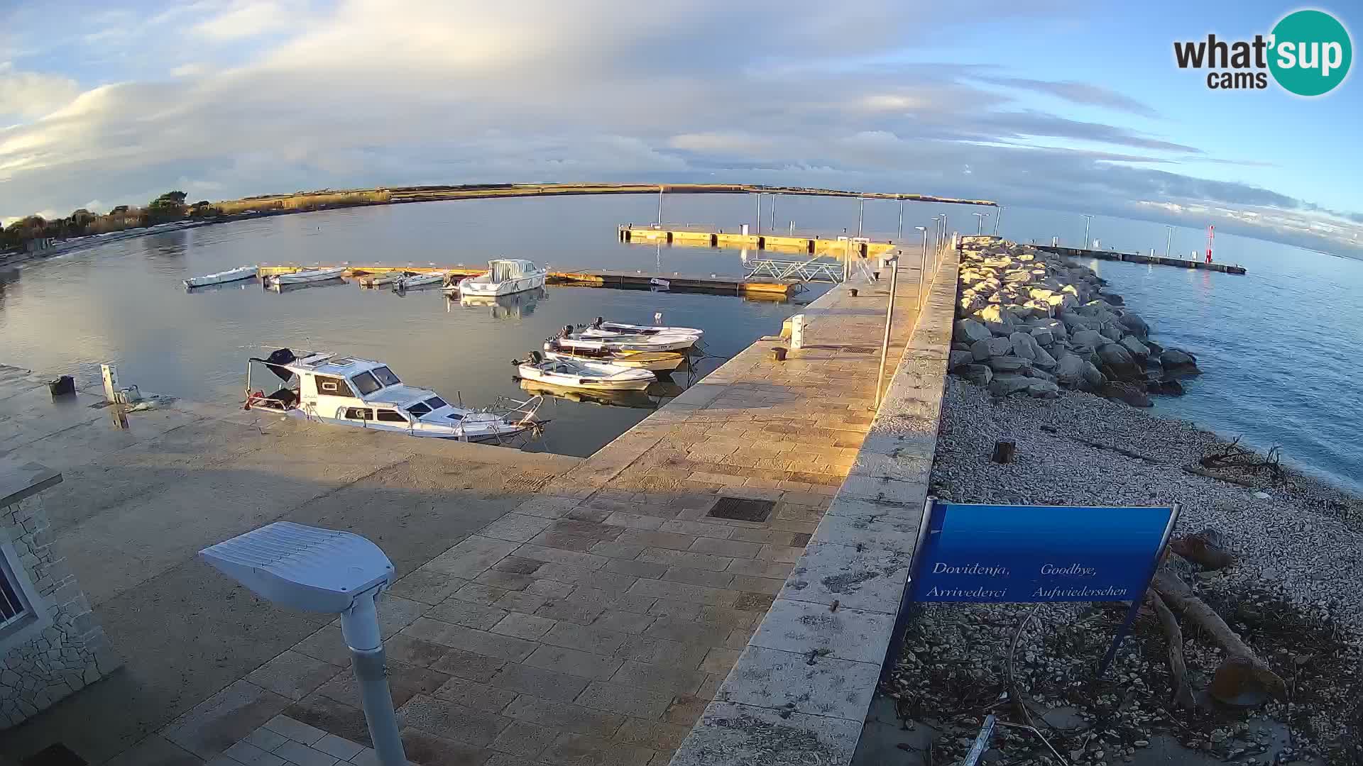 Webcam de l’île d’Unije – Explorez la beauté du joyau caché de la Croatie