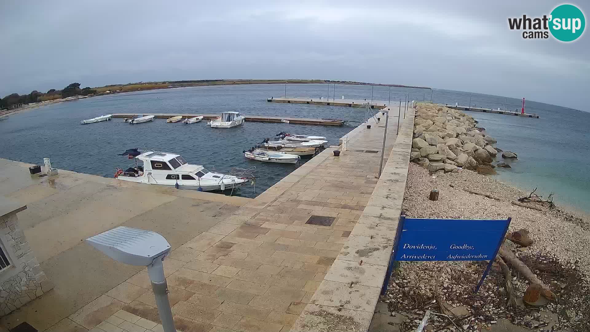 Cámara web de la isla de Unije: explore la belleza de la joya escondida de Croacia