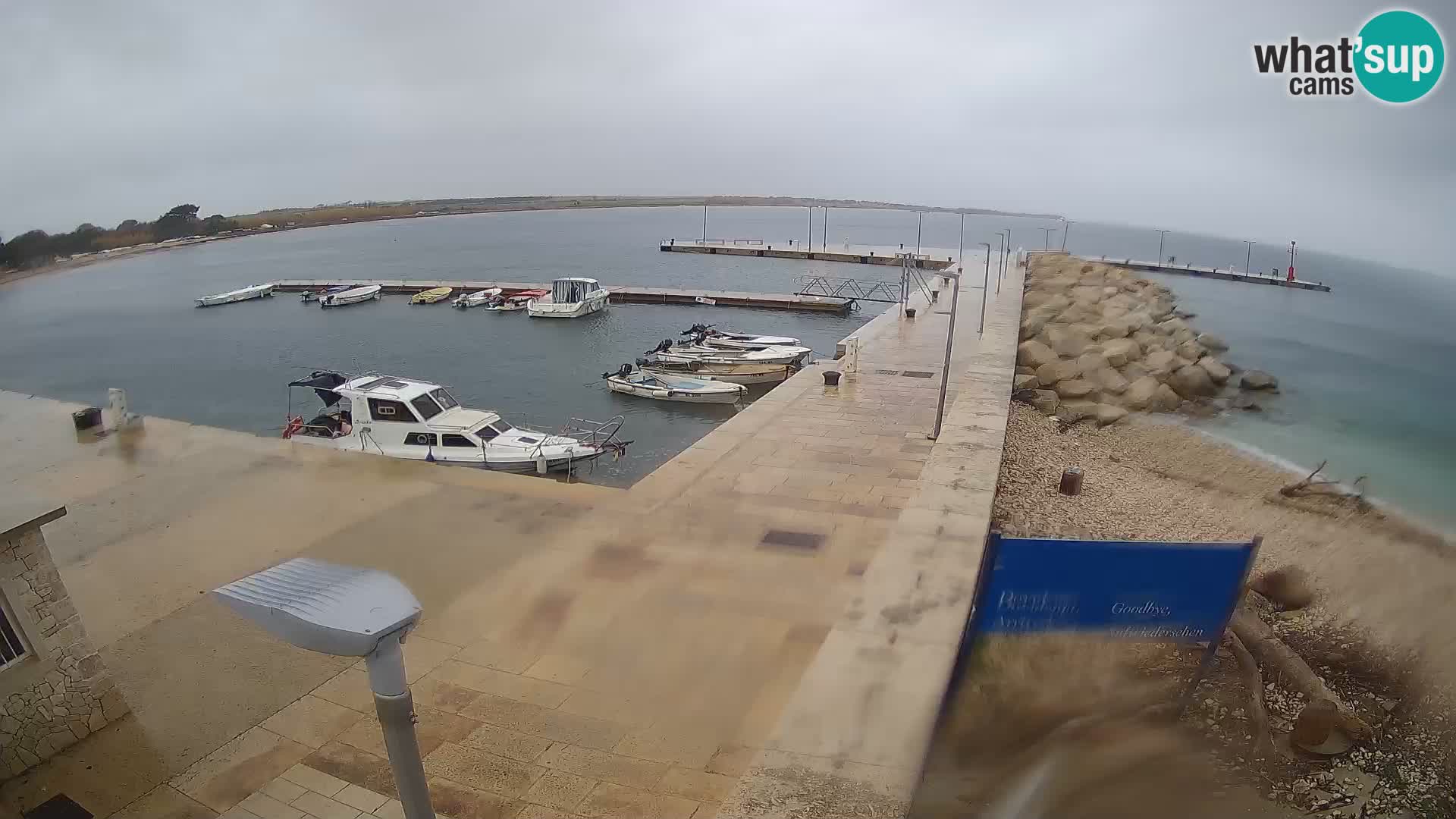 Cámara web de la isla de Unije: explore la belleza de la joya escondida de Croacia