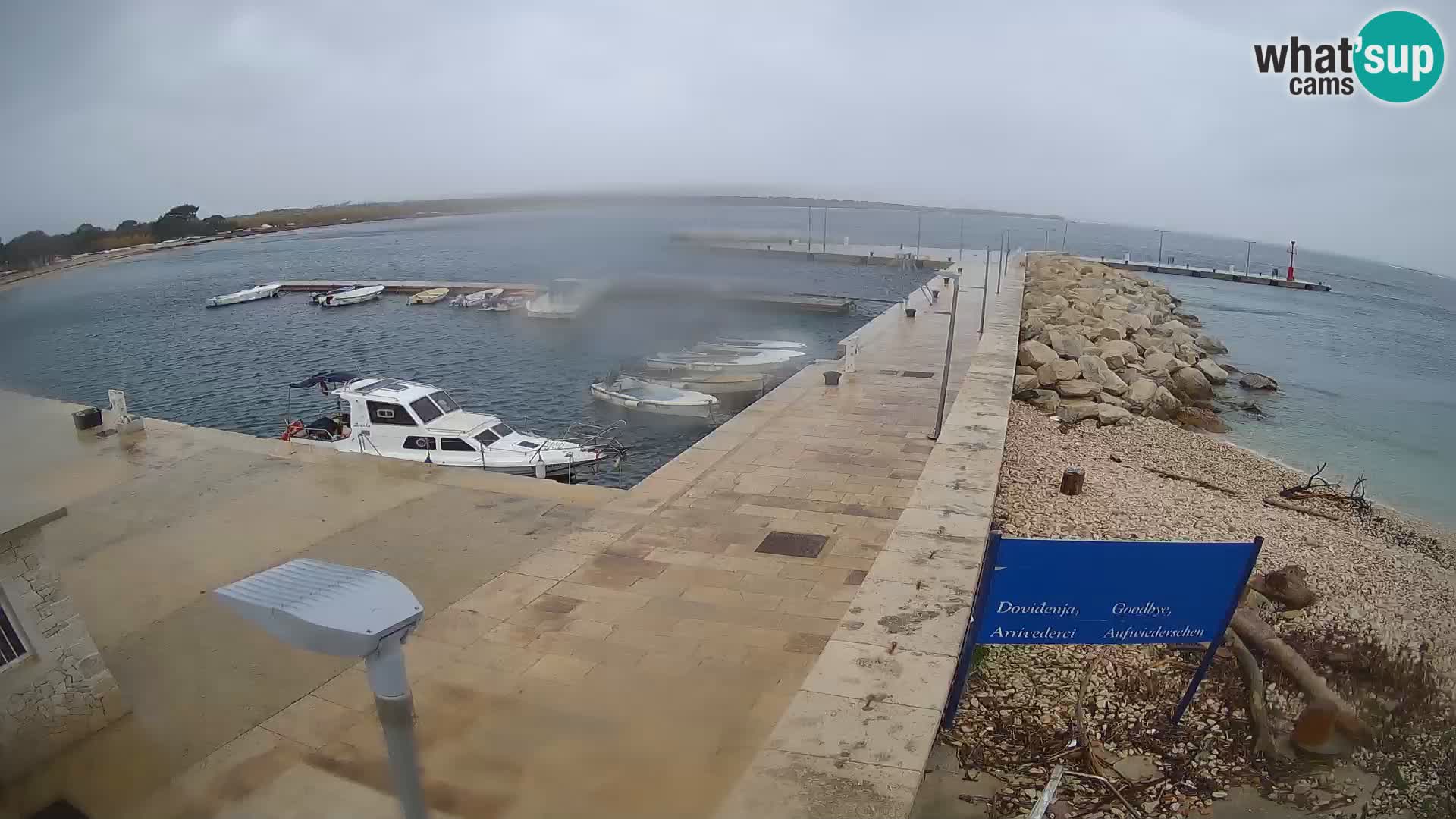 Cámara web de la isla de Unije: explore la belleza de la joya escondida de Croacia