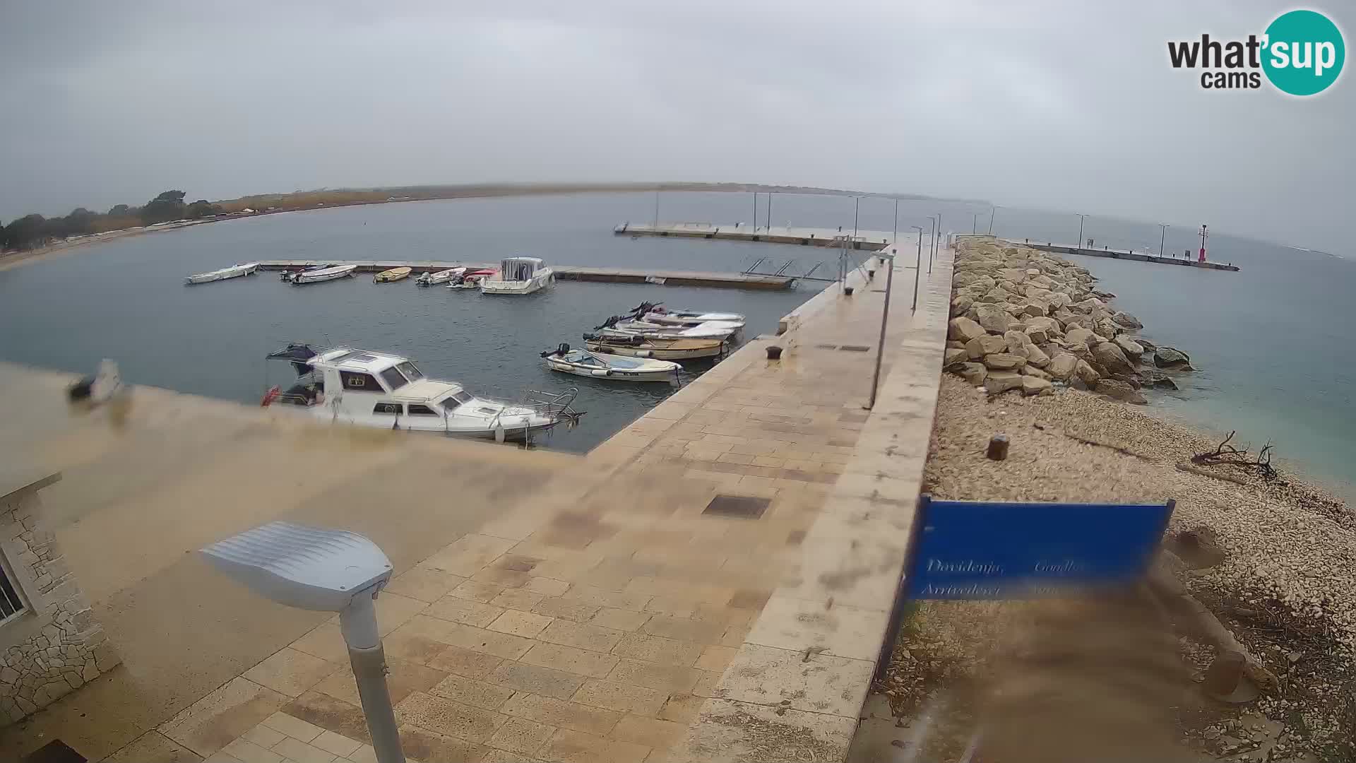 Cámara web de la isla de Unije: explore la belleza de la joya escondida de Croacia