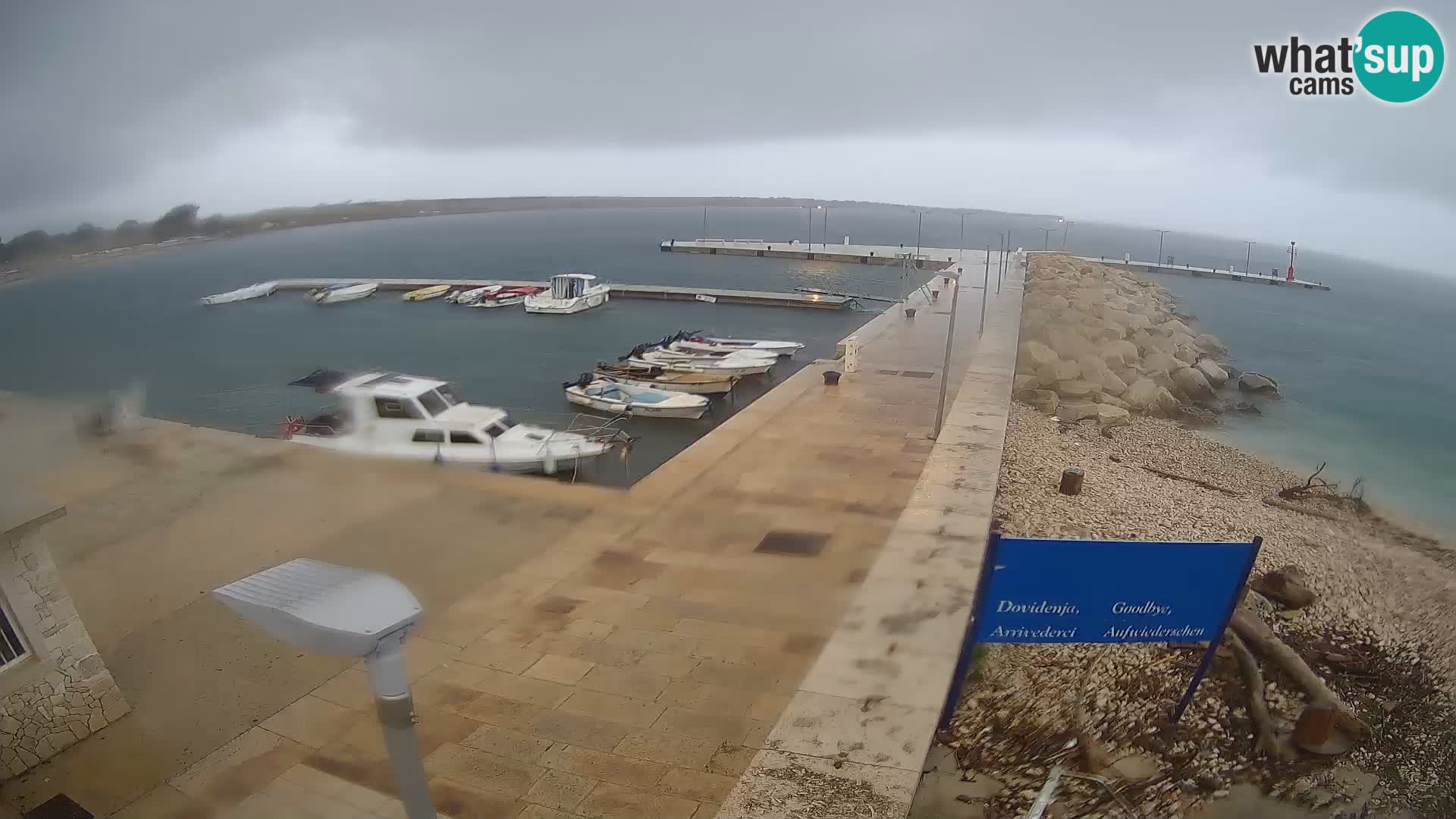 Webcam Isola di Unije – Esplora la bellezza della gemma nascosta della Croazia