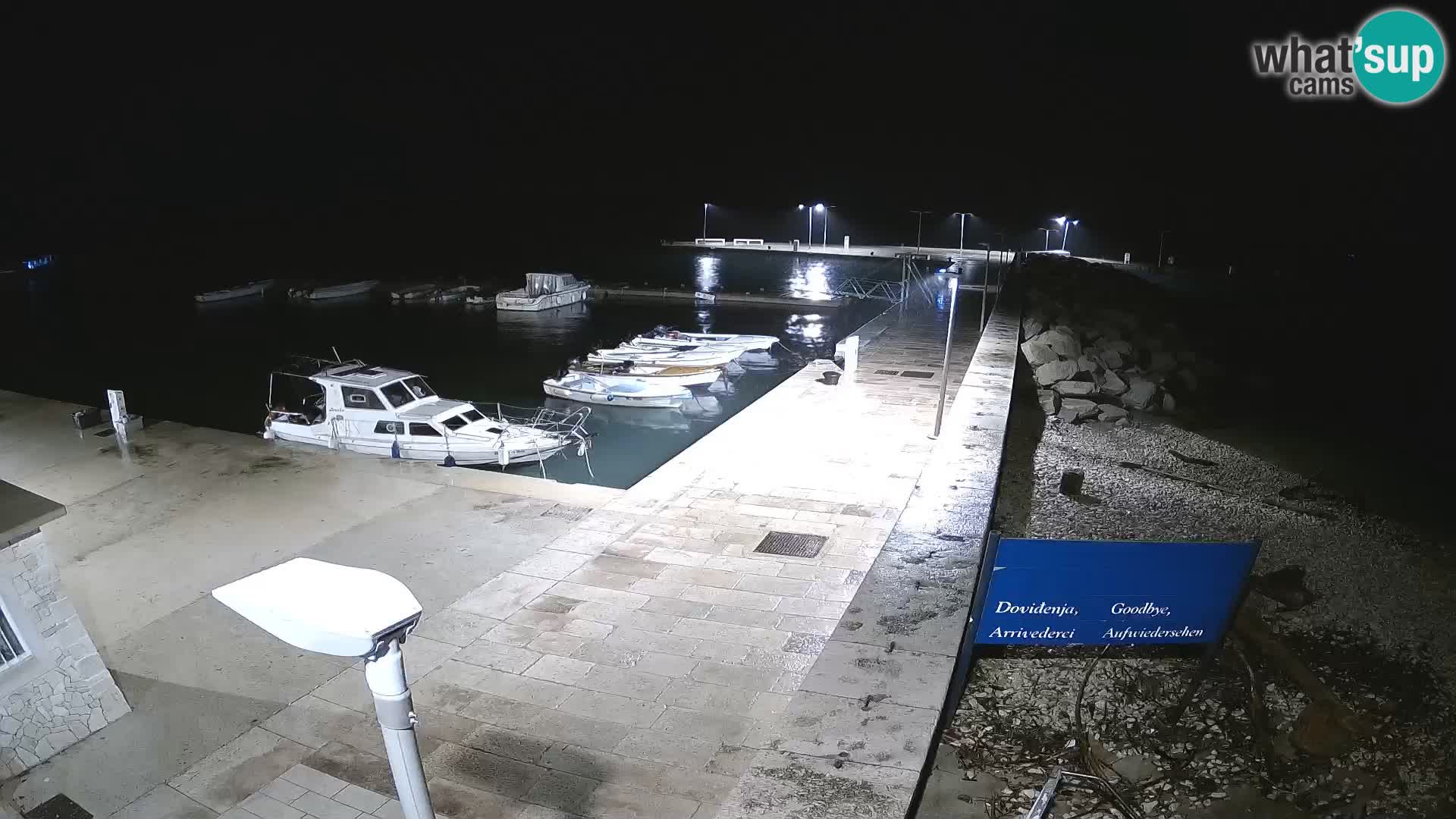 Webcam Isola di Unije – Esplora la bellezza della gemma nascosta della Croazia