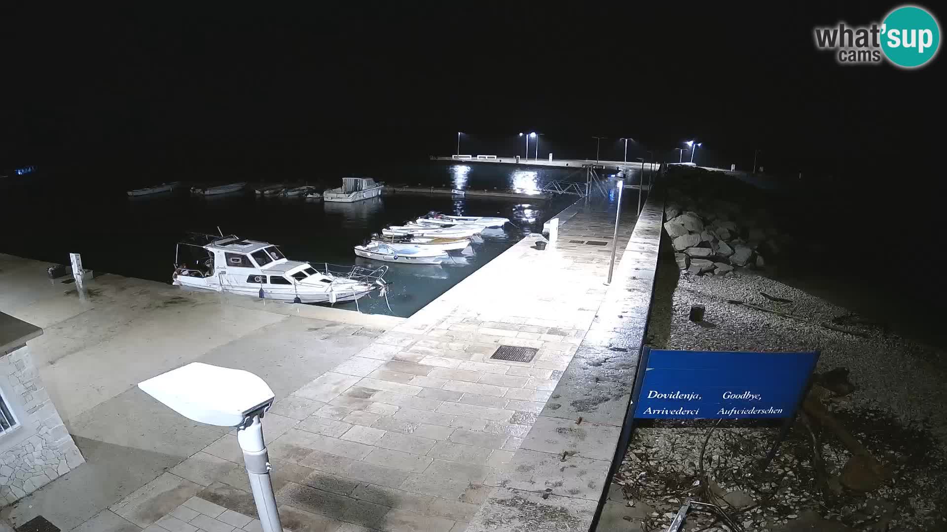 Cámara web de la isla de Unije: explore la belleza de la joya escondida de Croacia