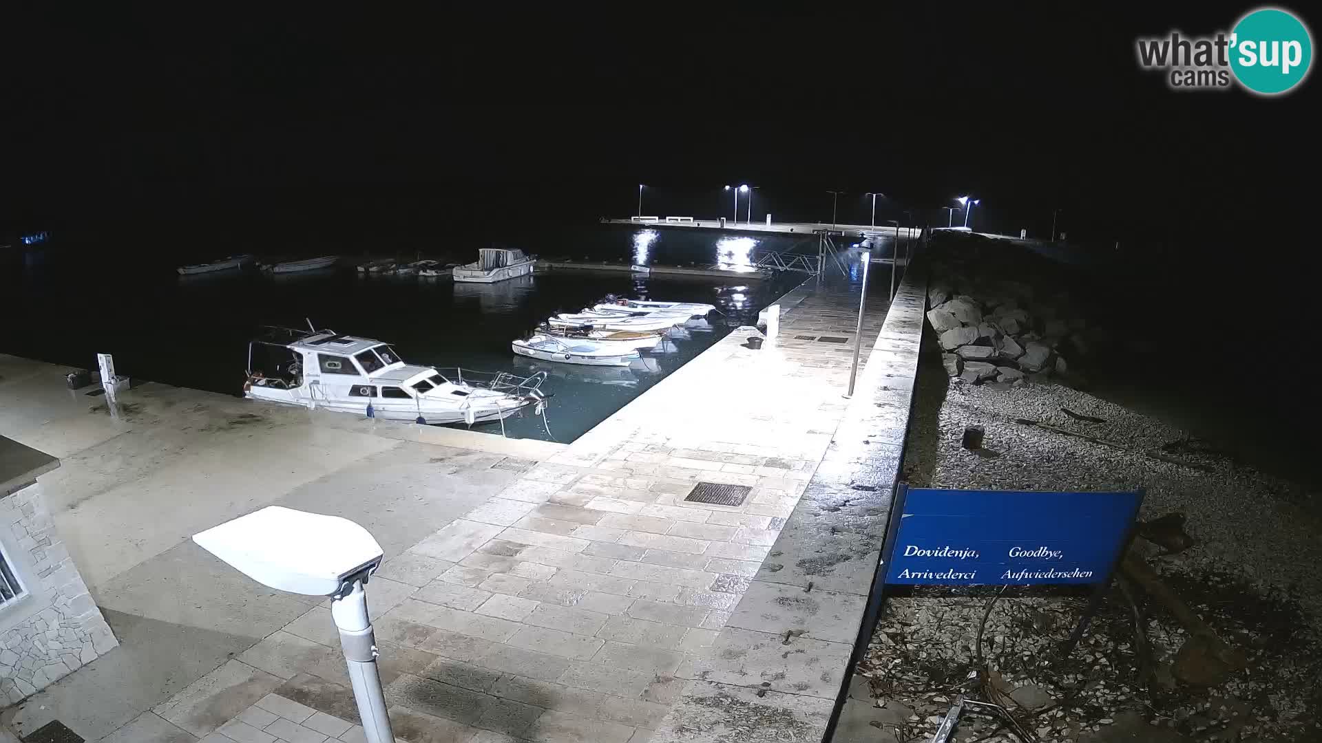 Webcam Isola di Unije – Esplora la bellezza della gemma nascosta della Croazia