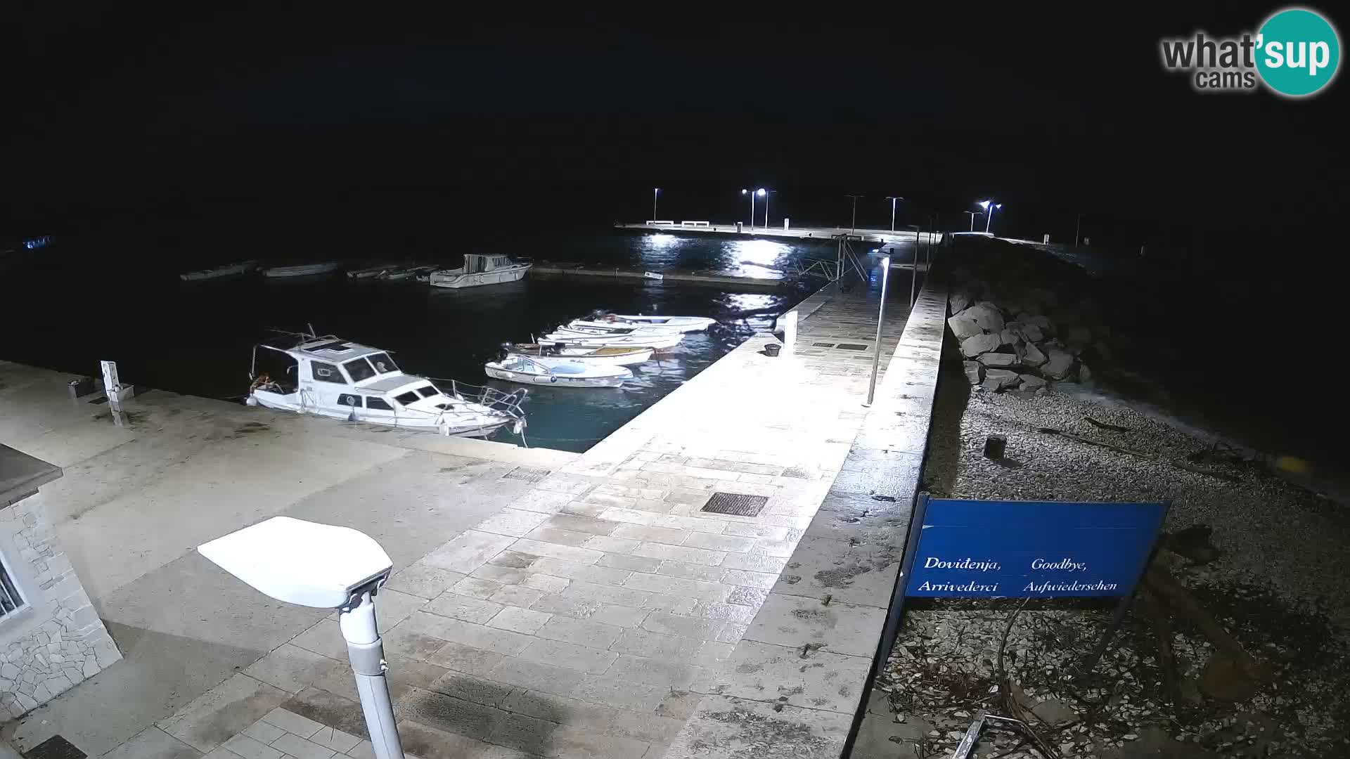 Webcam Isola di Unije – Esplora la bellezza della gemma nascosta della Croazia