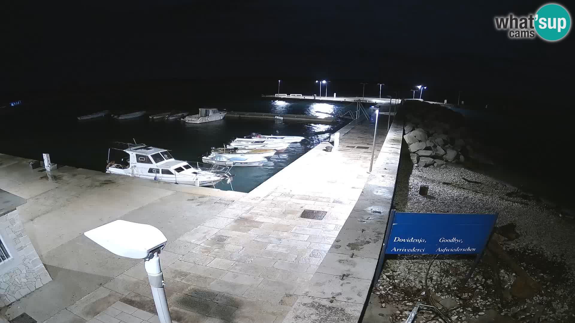 Webcam de l’île d’Unije – Explorez la beauté du joyau caché de la Croatie