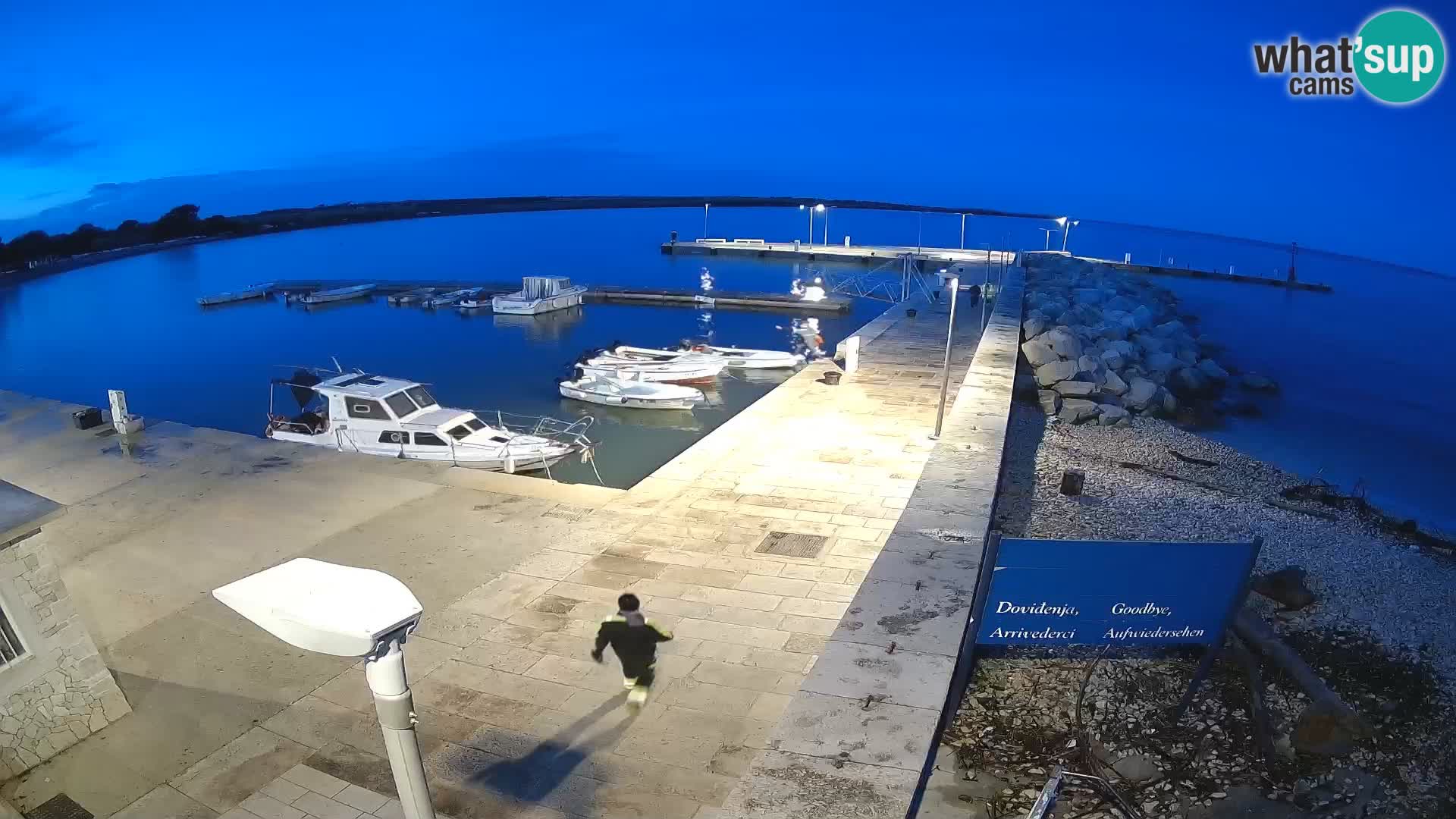 Spletna kamera otoka Unije – Raziščite lepoto skritega dragulja Hrvaške