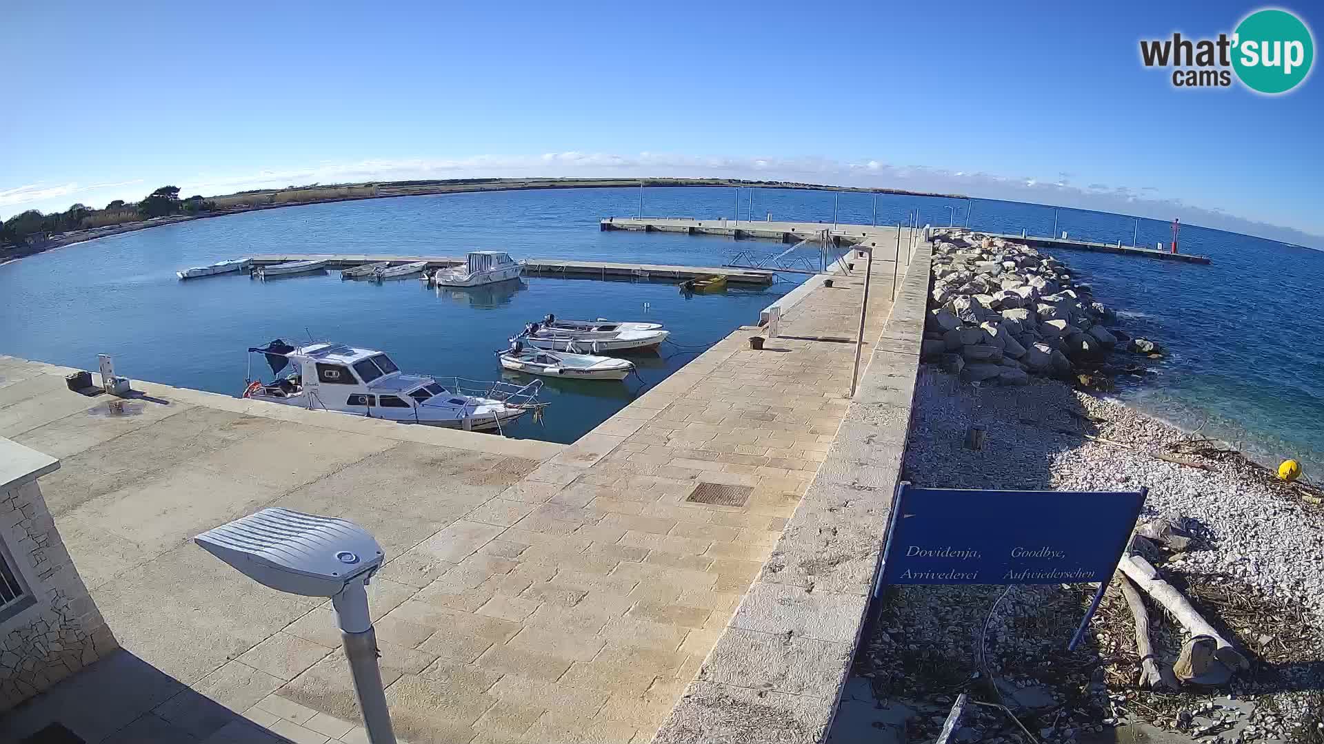 Cámara web de la isla de Unije: explore la belleza de la joya escondida de Croacia