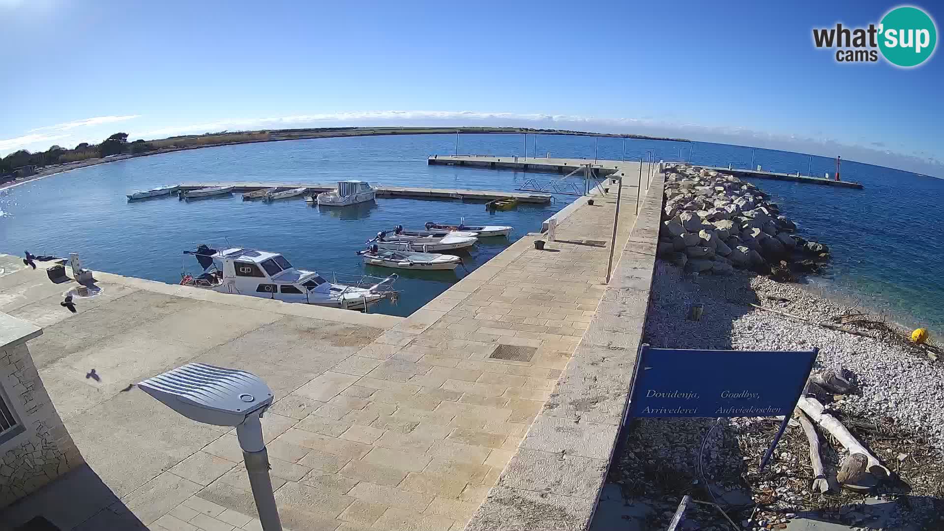 Unije Island Webcam – Explore the Beauty of Croatia’s Hidden Gem