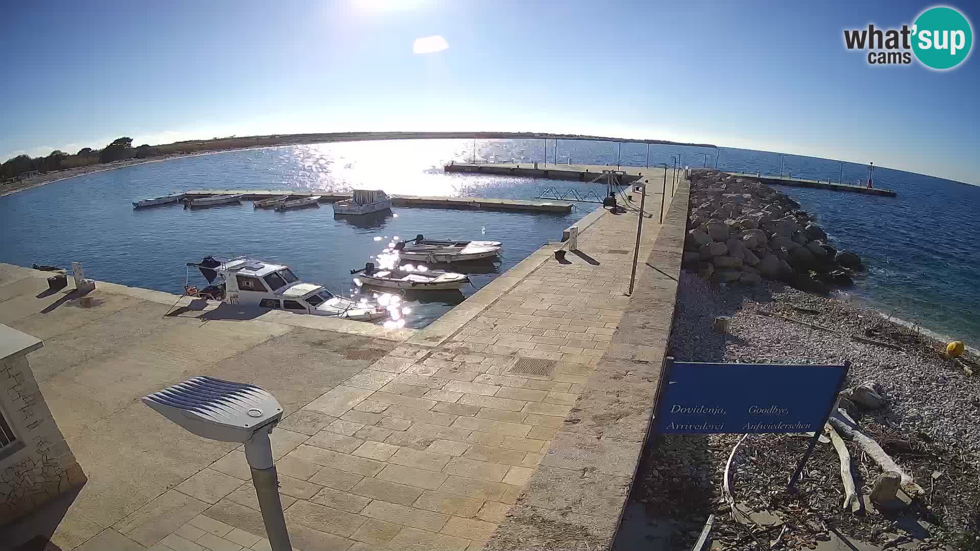 Cámara web de la isla de Unije: explore la belleza de la joya escondida de Croacia