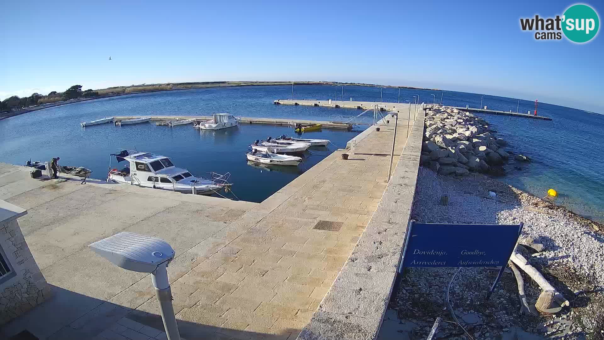 Cámara web de la isla de Unije: explore la belleza de la joya escondida de Croacia