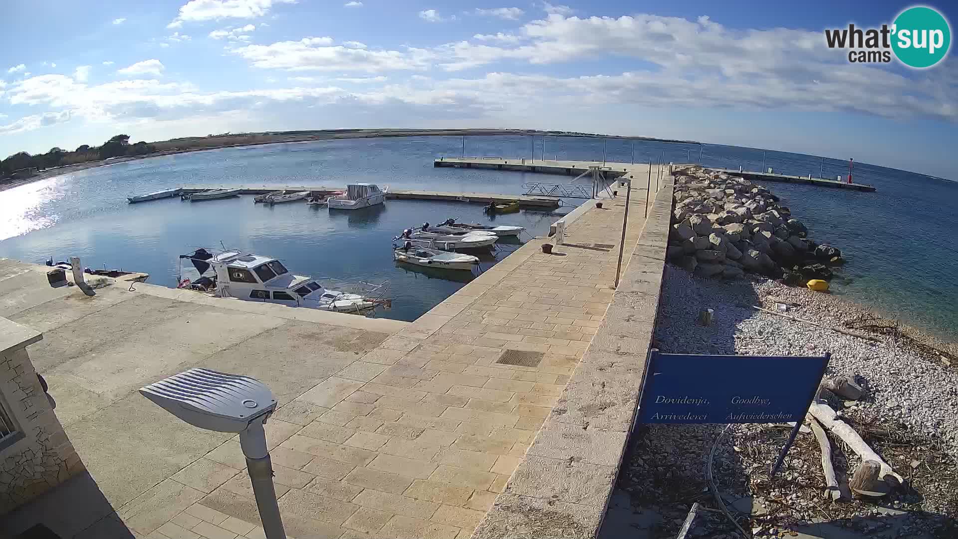 Cámara web de la isla de Unije: explore la belleza de la joya escondida de Croacia