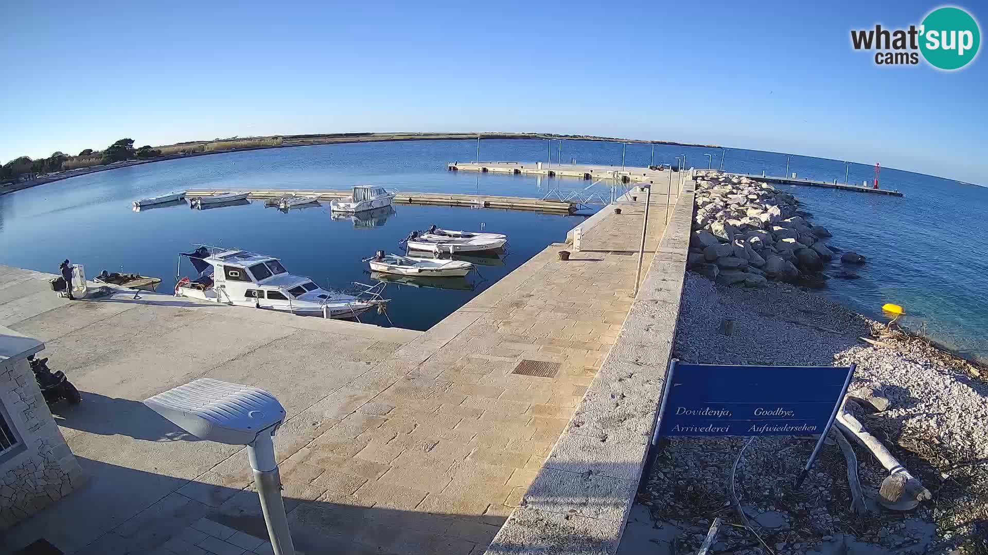 Webcam Isola di Unije – Esplora la bellezza della gemma nascosta della Croazia