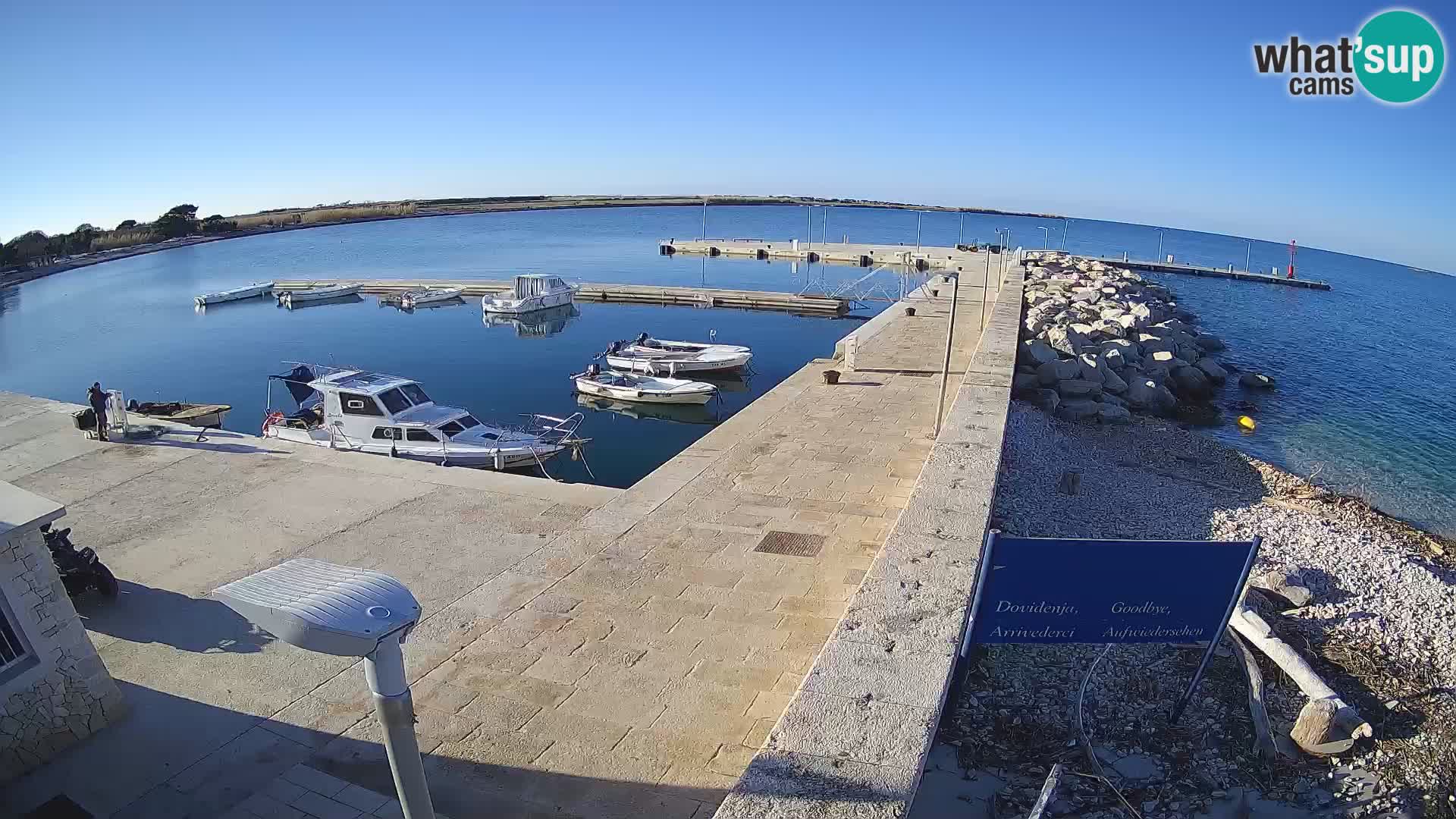 Cámara web de la isla de Unije: explore la belleza de la joya escondida de Croacia