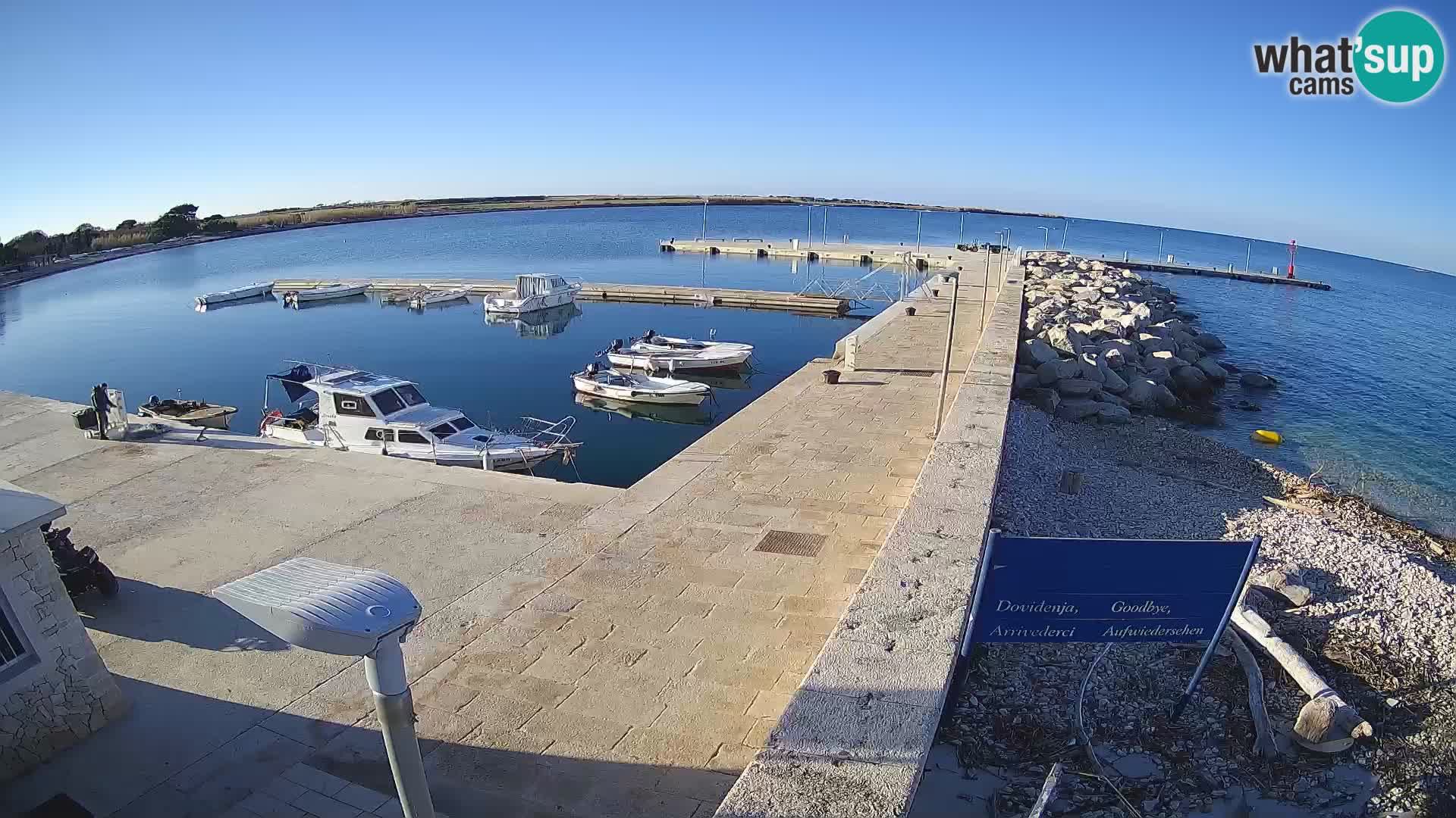 Webcam Isola di Unije – Esplora la bellezza della gemma nascosta della Croazia