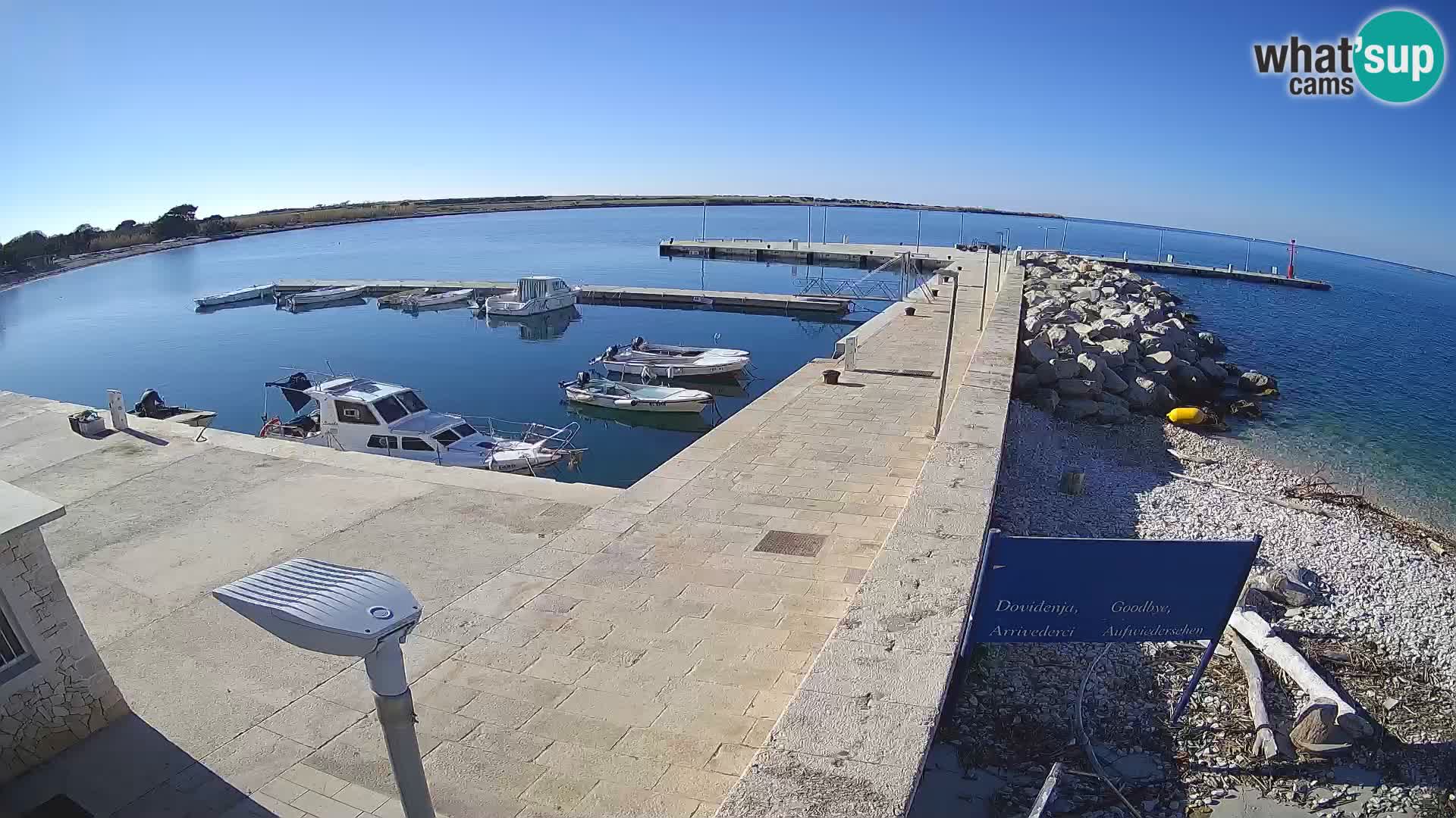 Cámara web de la isla de Unije: explore la belleza de la joya escondida de Croacia