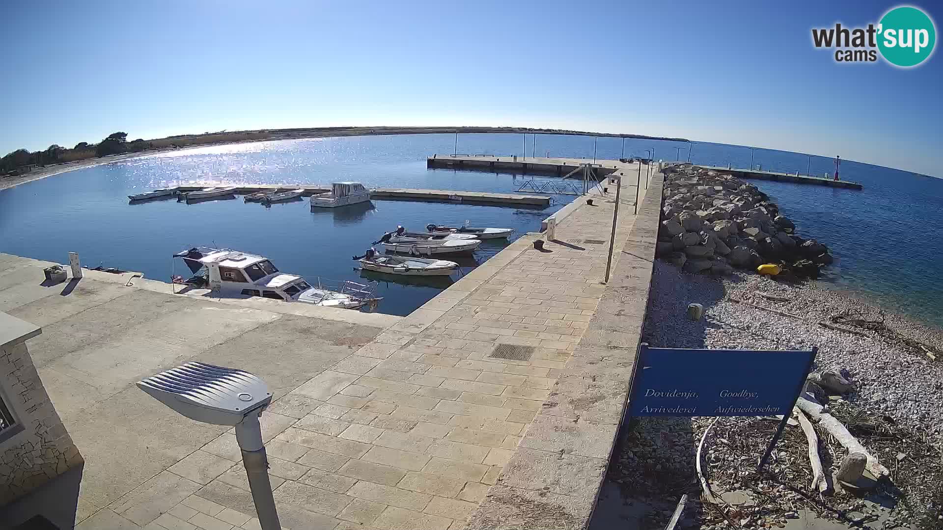 Cámara web de la isla de Unije: explore la belleza de la joya escondida de Croacia