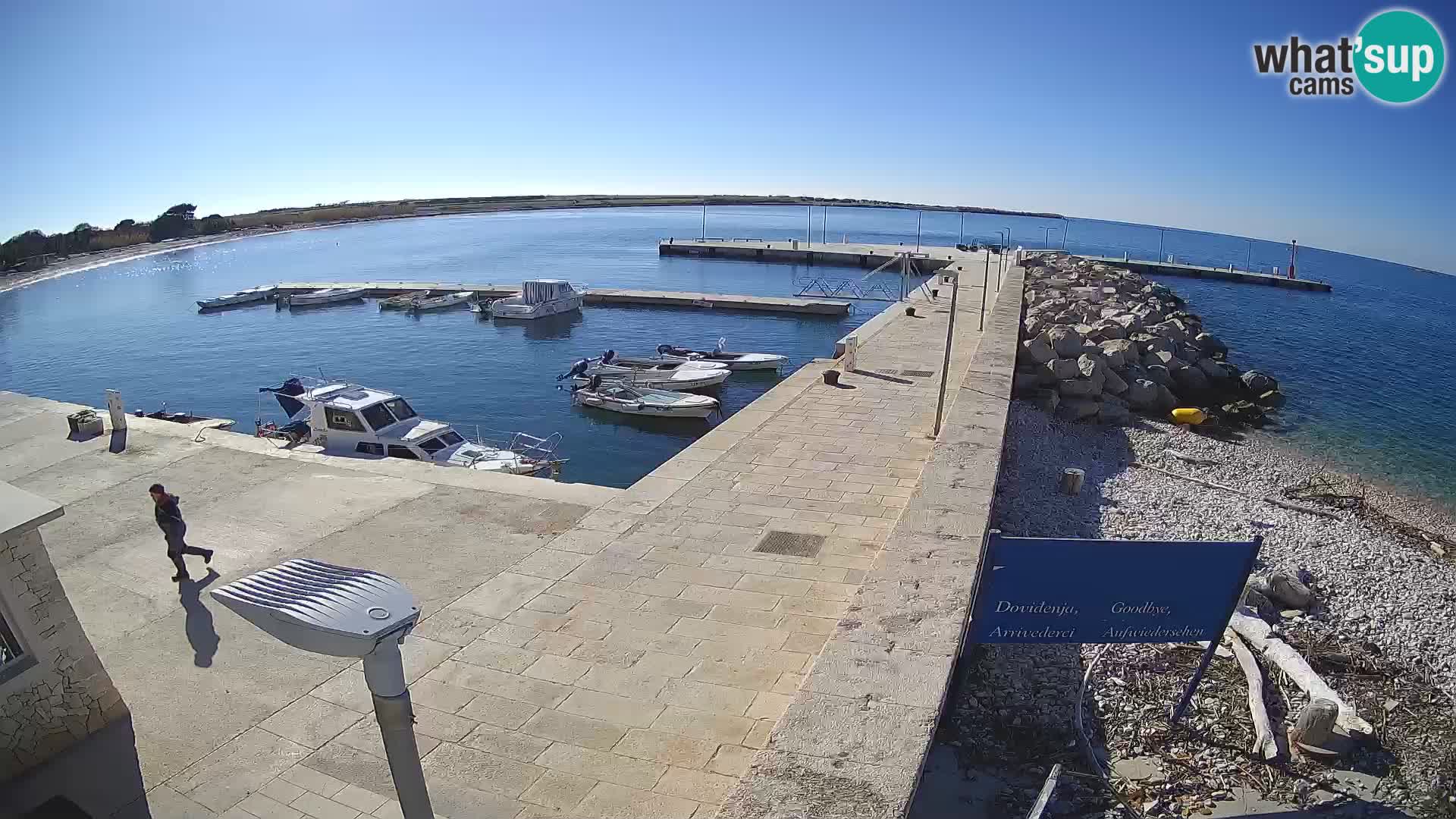 Webcam Isola di Unije – Esplora la bellezza della gemma nascosta della Croazia