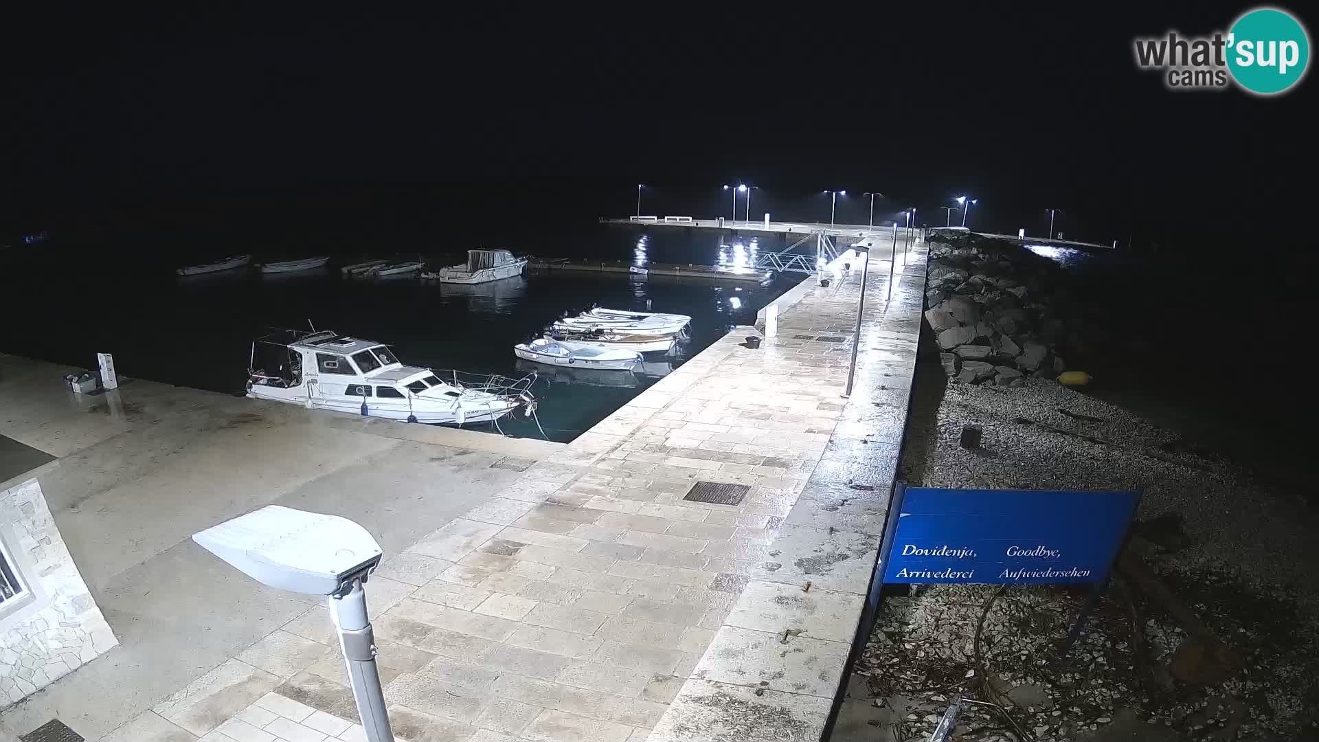 Cámara web de la isla de Unije: explore la belleza de la joya escondida de Croacia