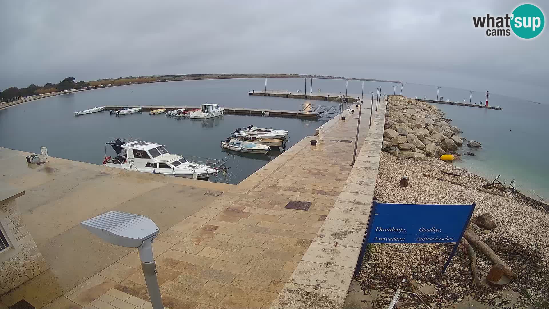 Cámara web de la isla de Unije: explore la belleza de la joya escondida de Croacia