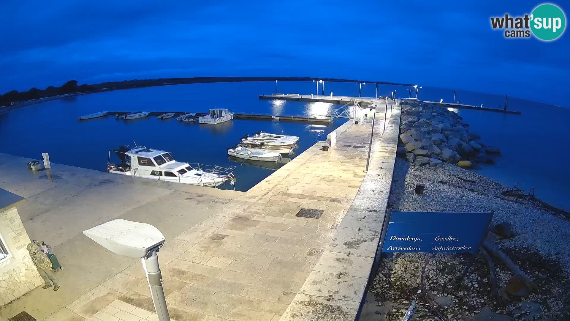 Cámara web de la isla de Unije: explore la belleza de la joya escondida de Croacia