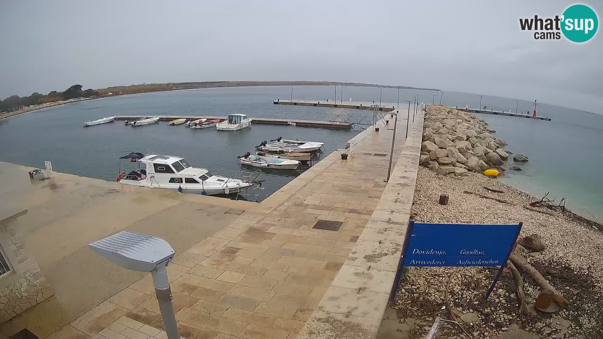 Cámara web de la isla de Unije: explore la belleza de la joya escondida de Croacia