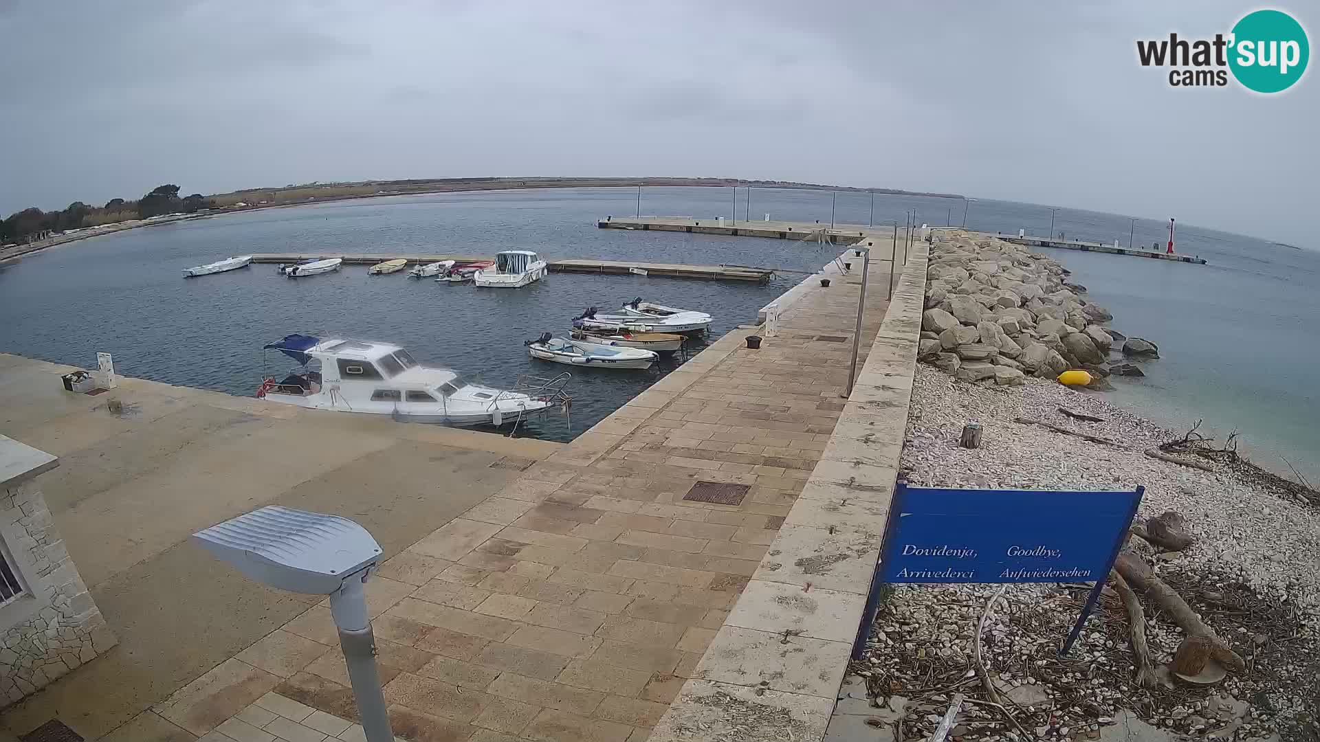 Cámara web de la isla de Unije: explore la belleza de la joya escondida de Croacia