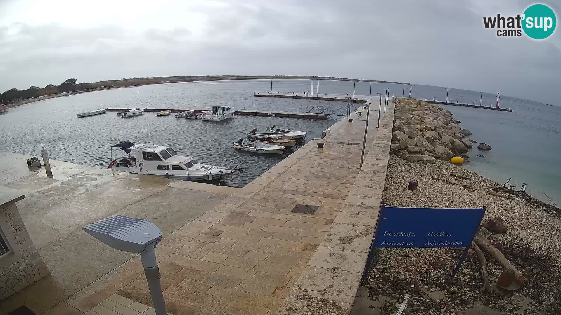 Cámara web de la isla de Unije: explore la belleza de la joya escondida de Croacia